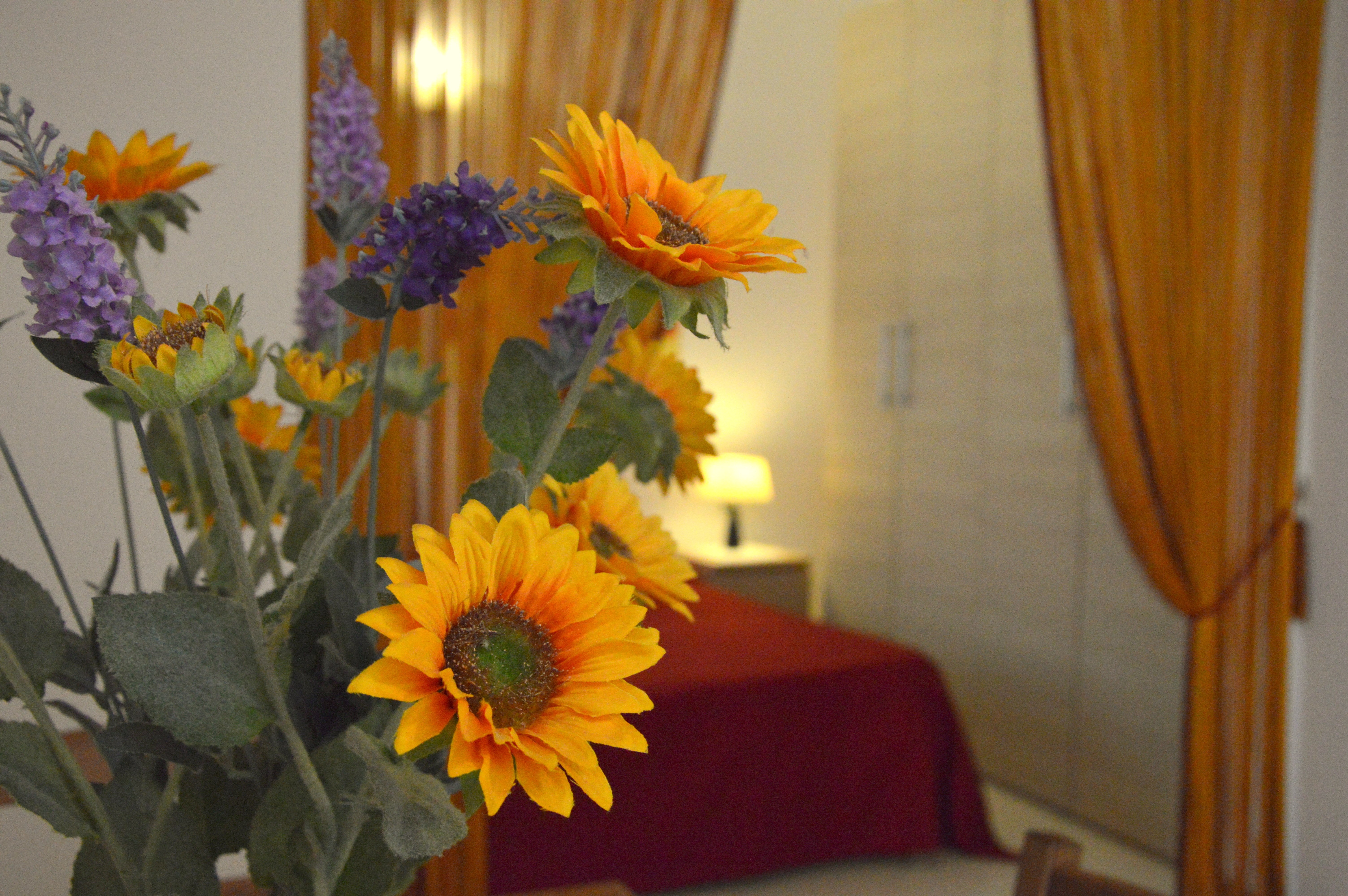 Magnolia - Large and comfortable studio flat in Centro Storico, Florence
