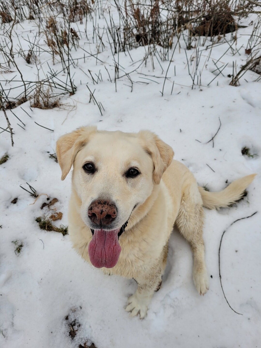 Maiden Rock Barn (Pine Creek Rustic Road) Barns for Rent in Stockholm