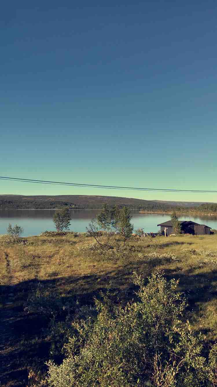 Charming cabin near Røros