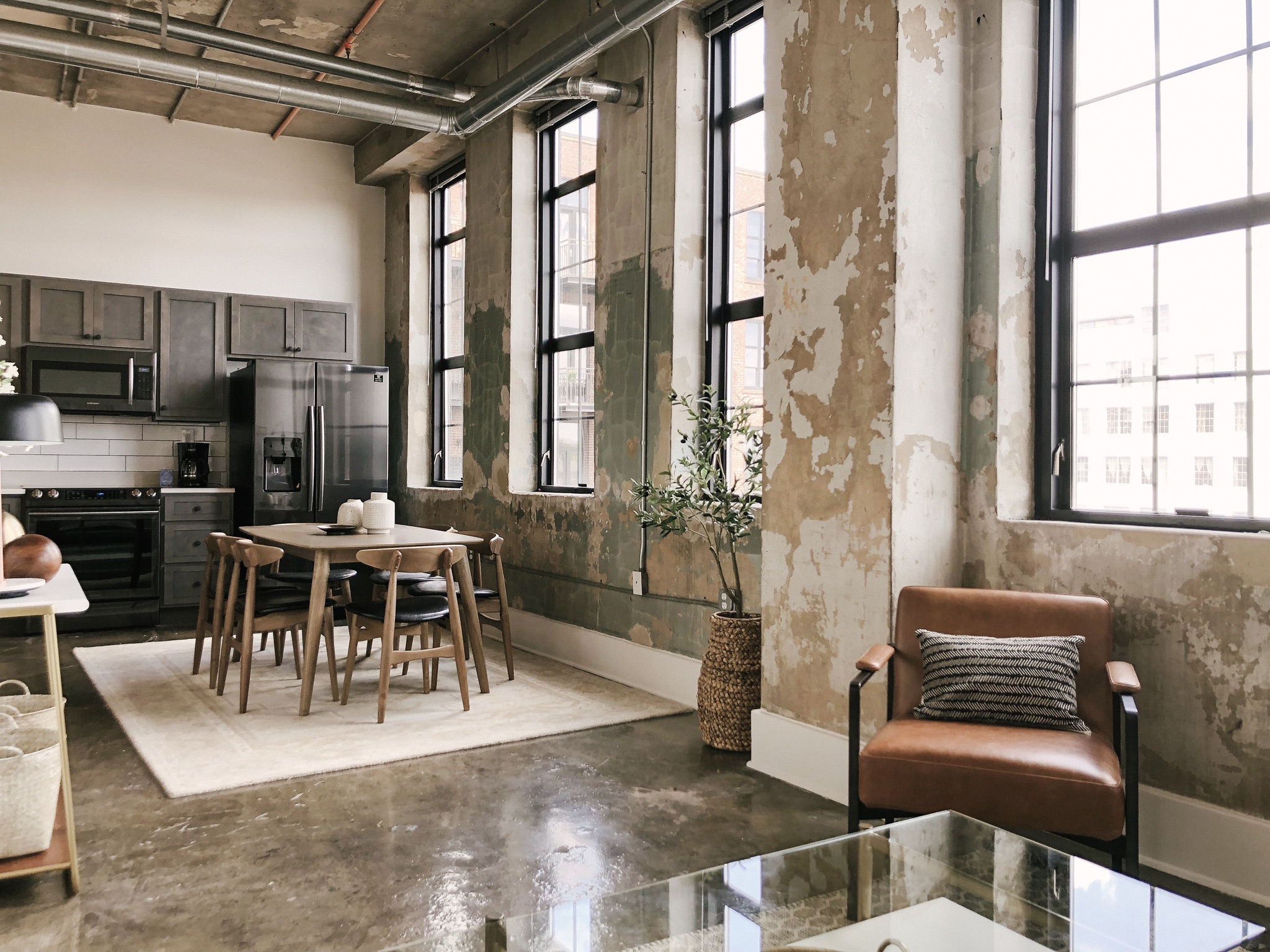 Airbnb Knoxville Tn Pet Friendly 18 - zjgtyj1