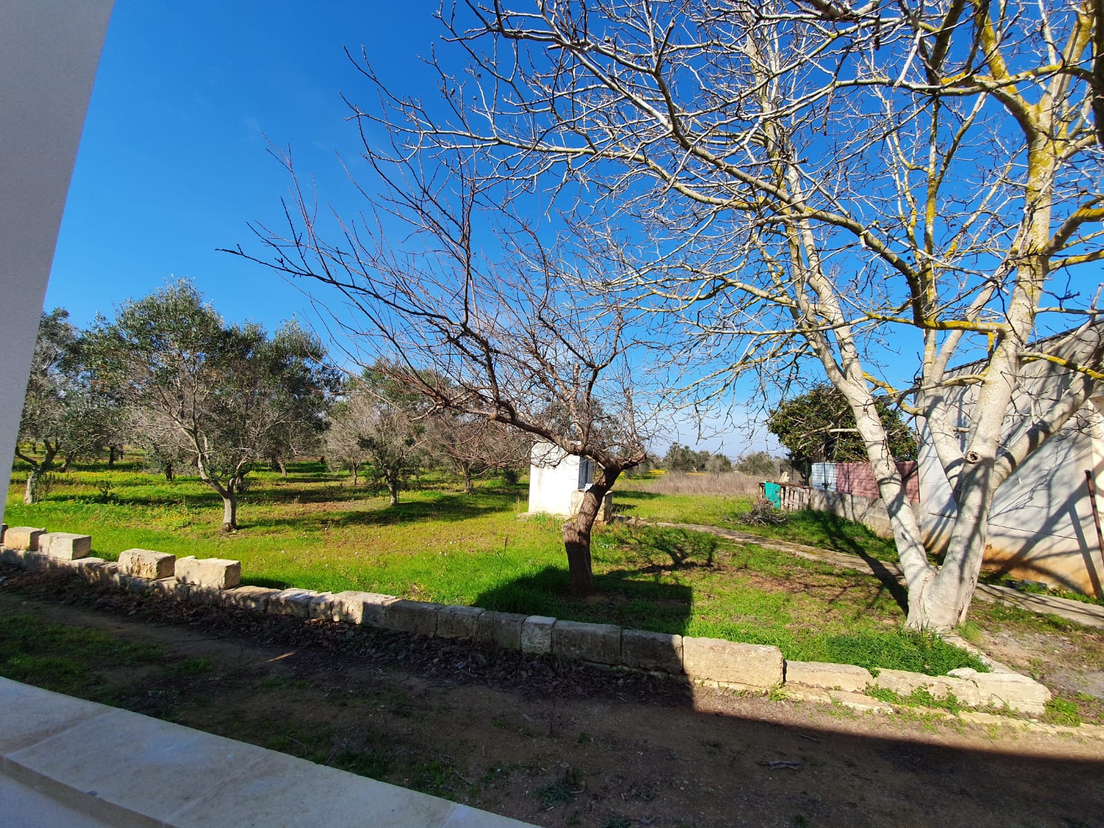 Gallipoli is a nearby house in the countryside of Salento!