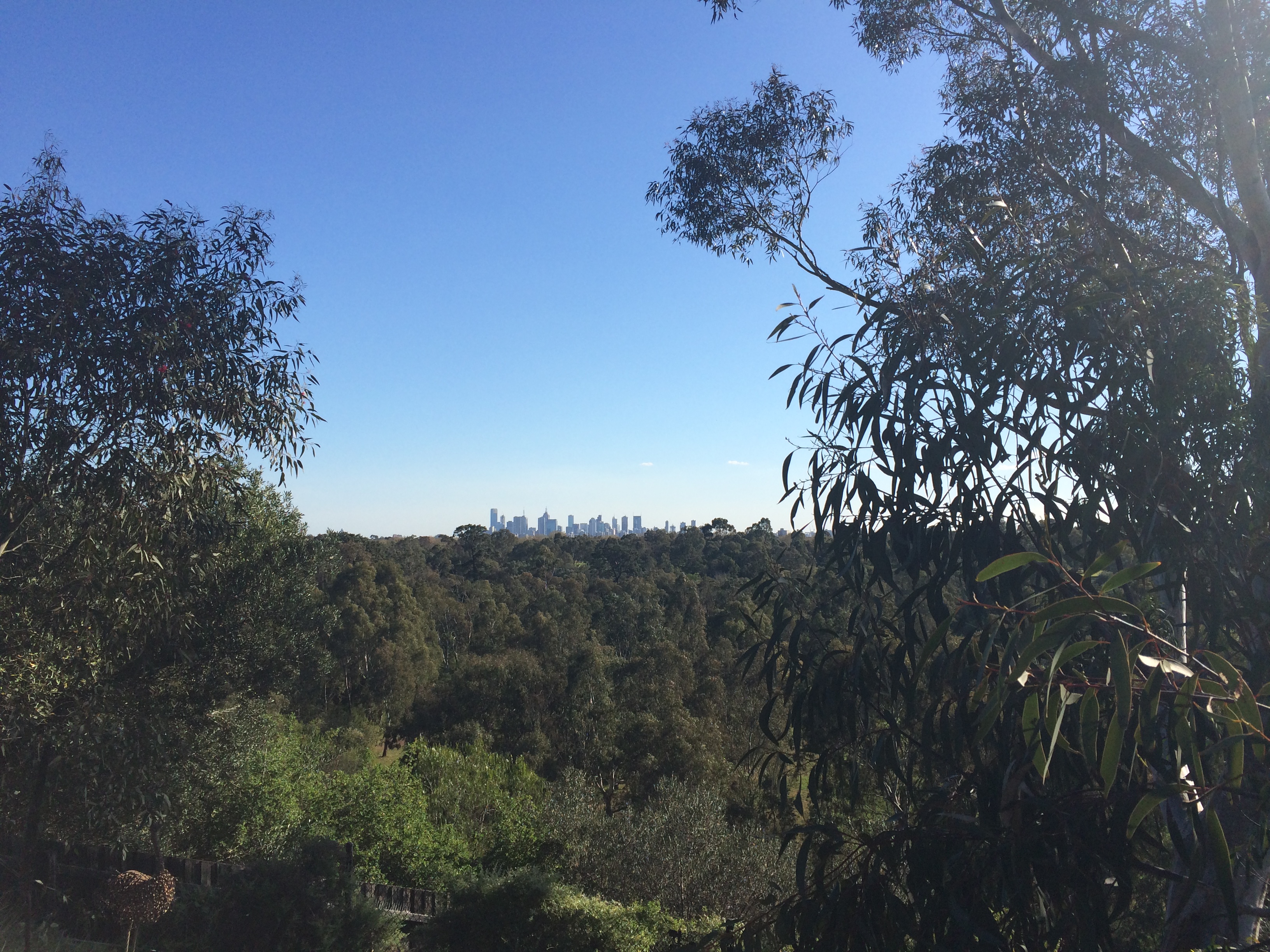 Darebin Parklands/serenity & views in Darebin, Melbourne