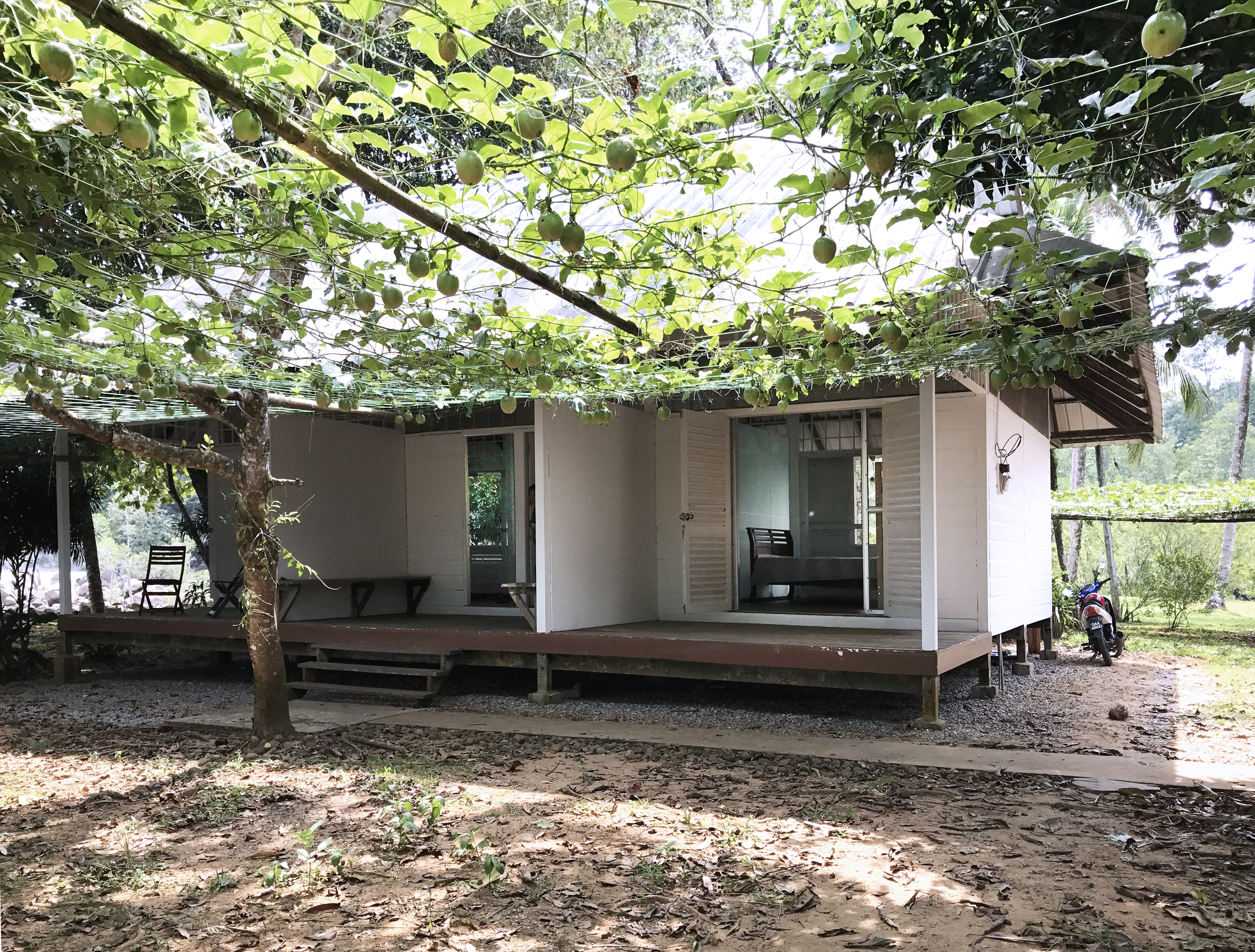 Siar Tranquil Bedroom 1 Houses For Rent In Lundu Sarawak Malaysia