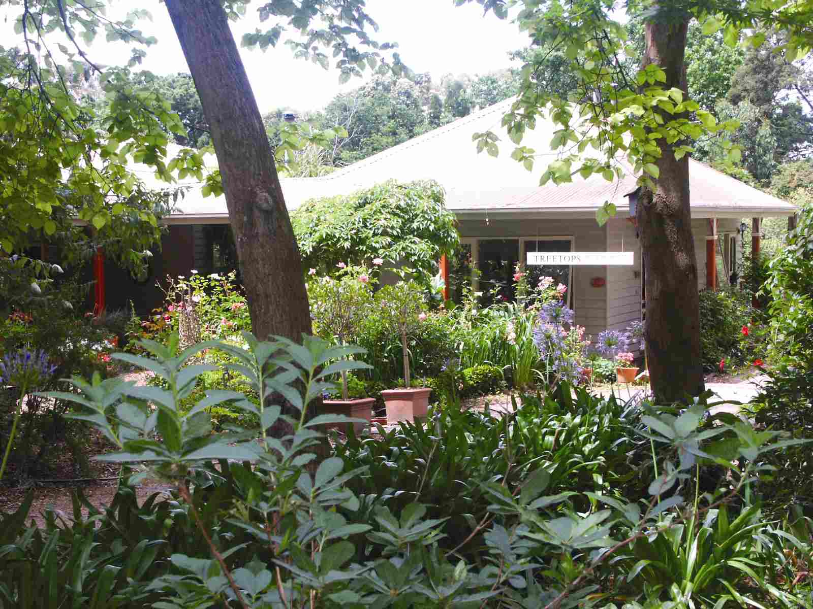 Rose Room, spacious room in a garden setting. in Whitehorse, Melbourne