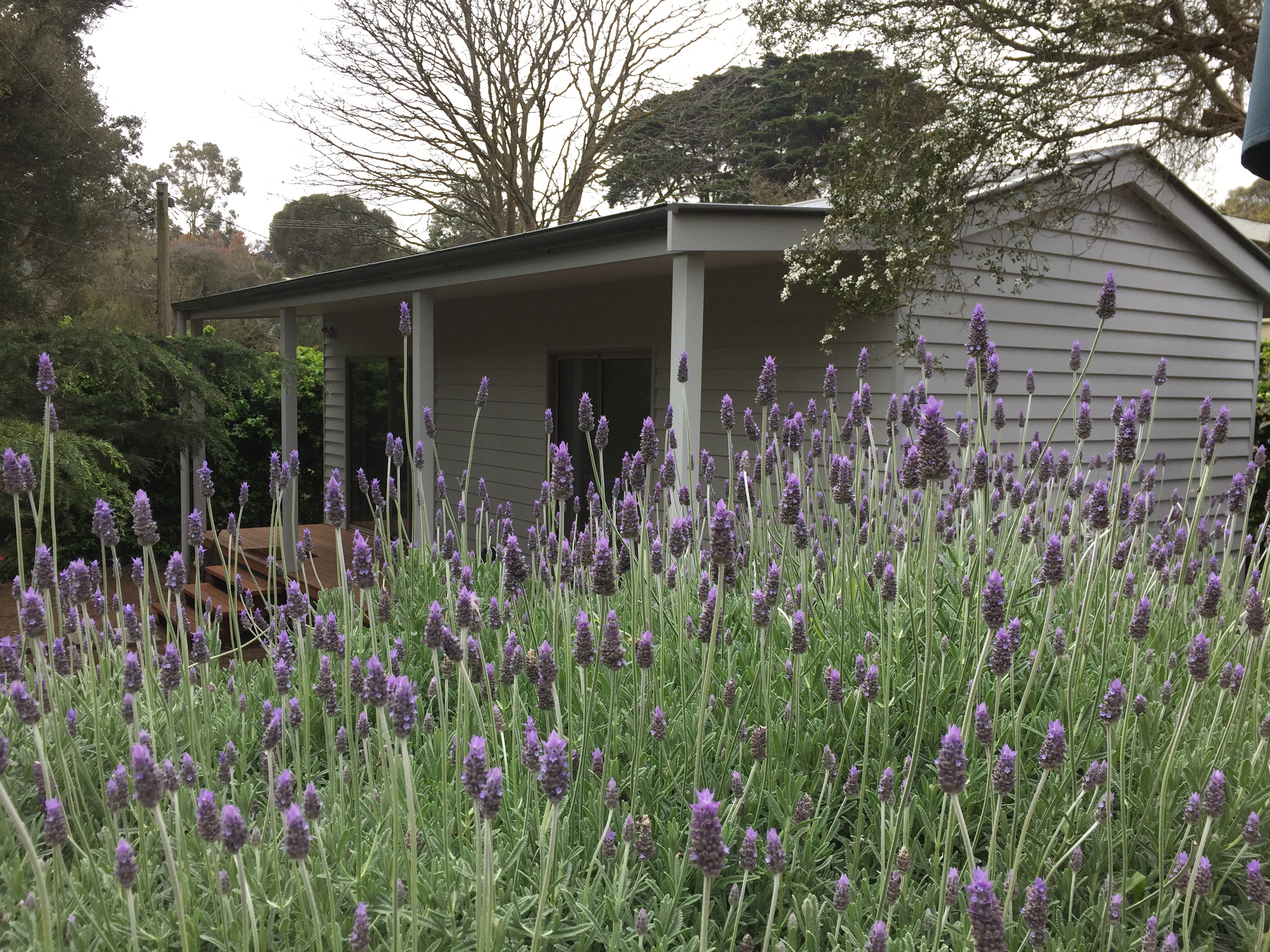 Sorrento Garden Cottage in Point Nepean, Mornington Peninsula