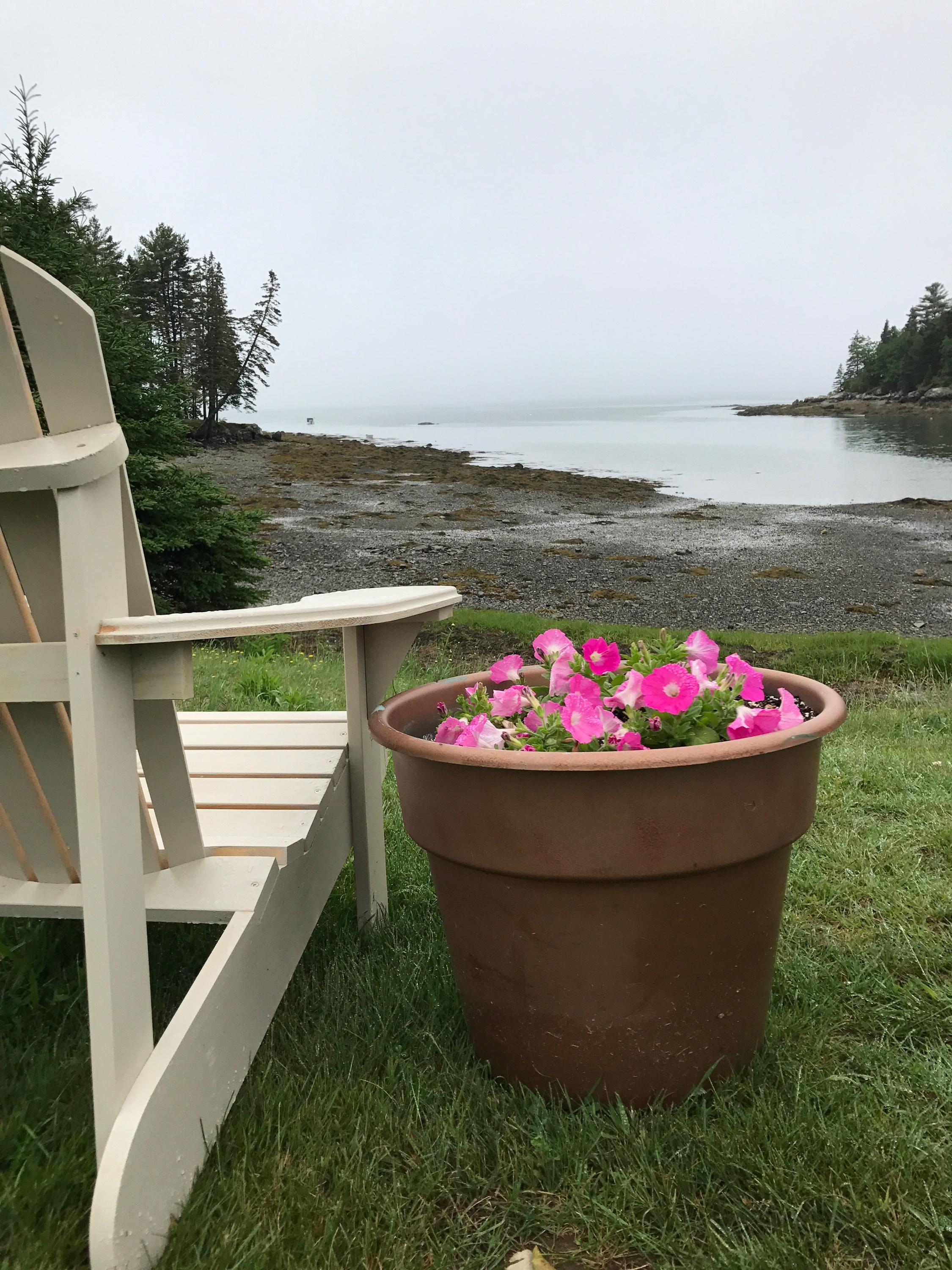 Acadia Sunrise at Bay Meadow Cottages