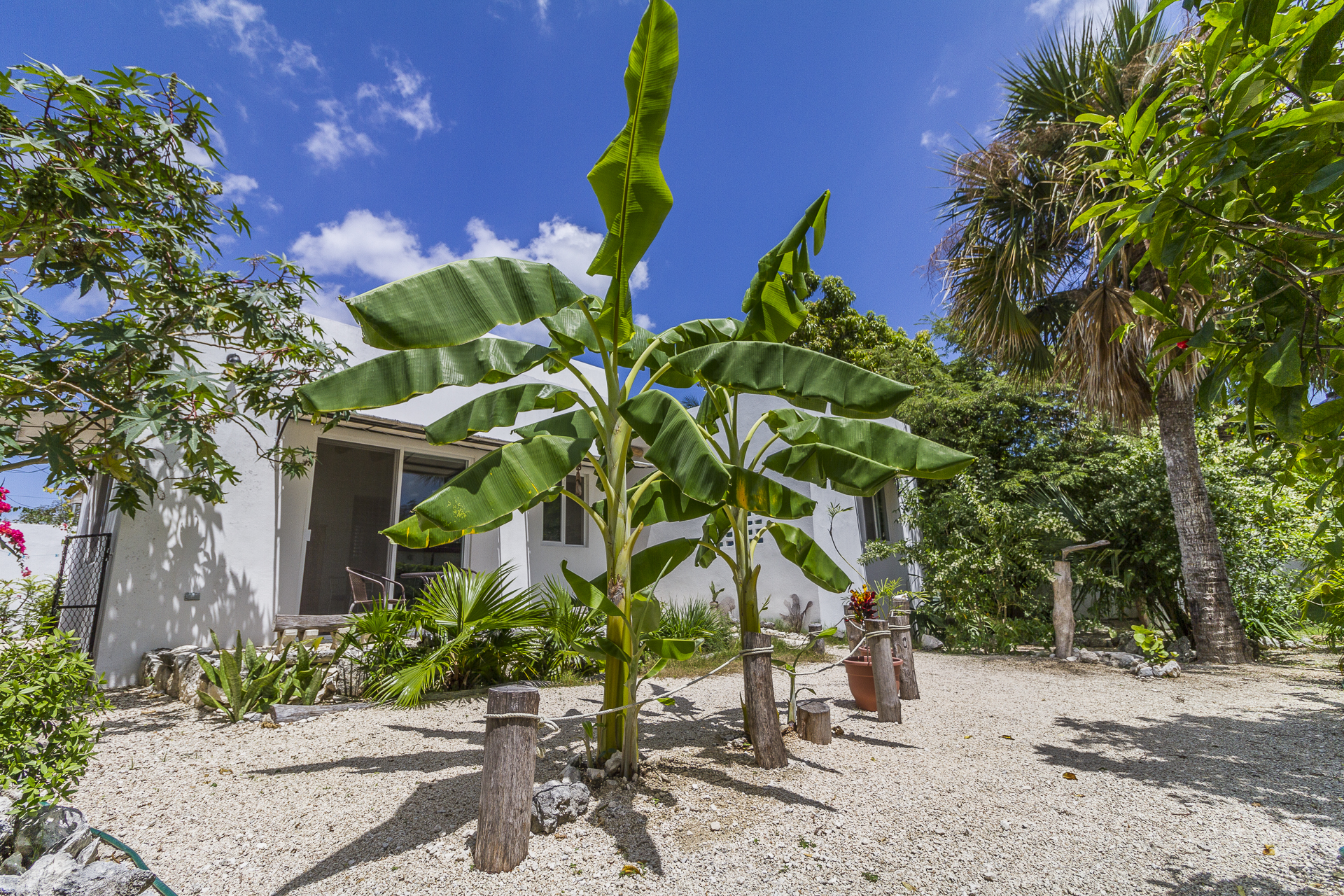 Downtown Arrecifes - Nohol Nah.