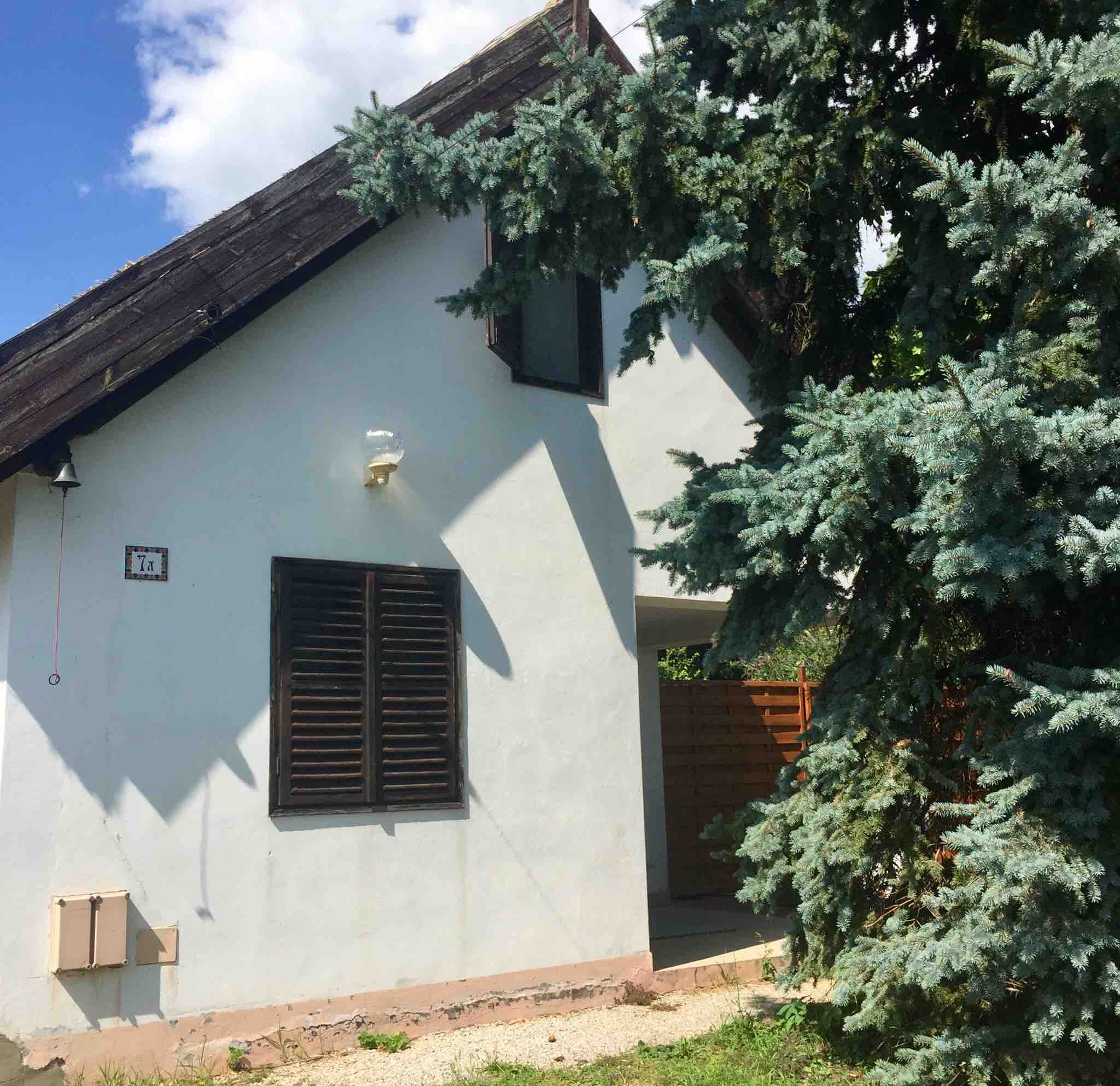cottage with a reed-rooftop with a big garden