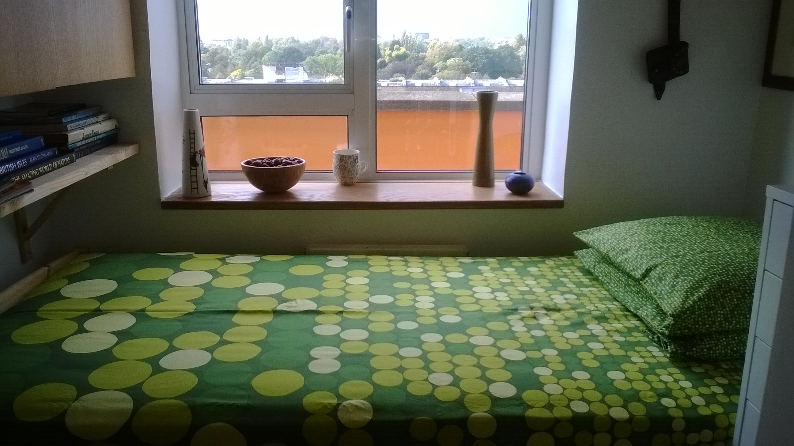 Pleasant Single Room in zone 1.