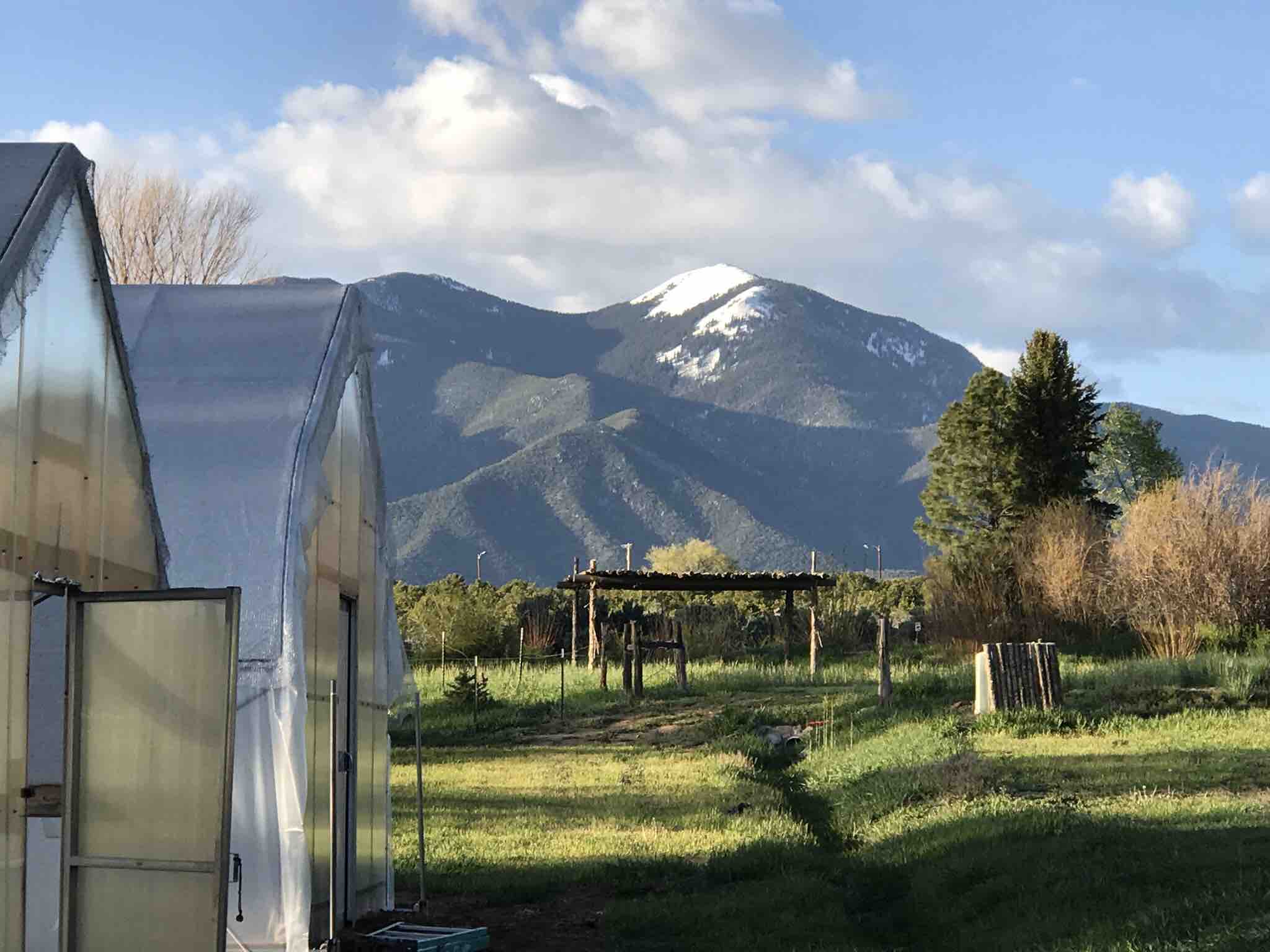 Craigslist Taos Nm Houses For Rent - hux4oyp