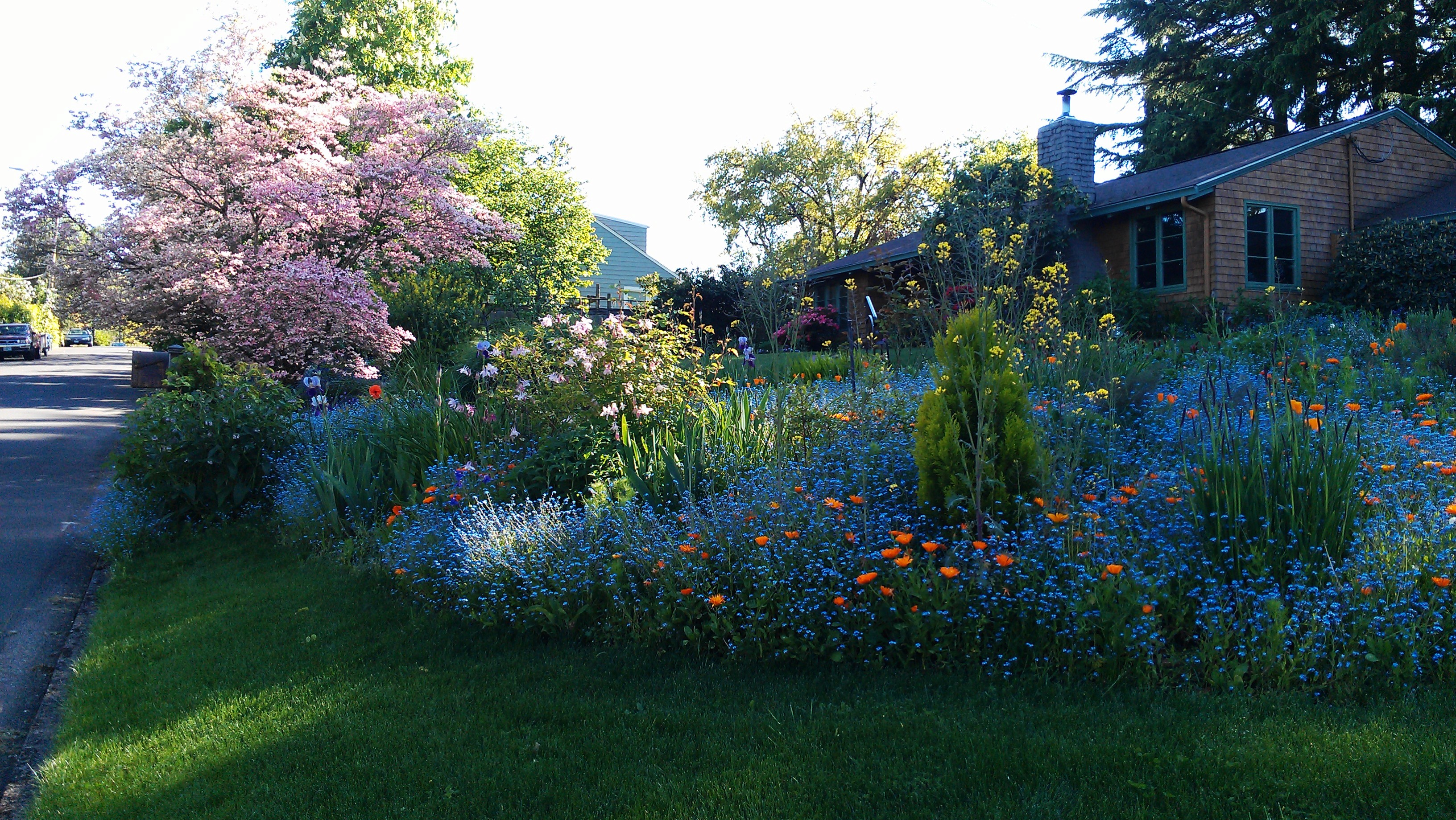 Cedar Hideaway: Quiet, 14 blocks to UO, Hot Tub