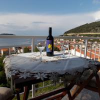 Apartment  Pečarević with a stunning view