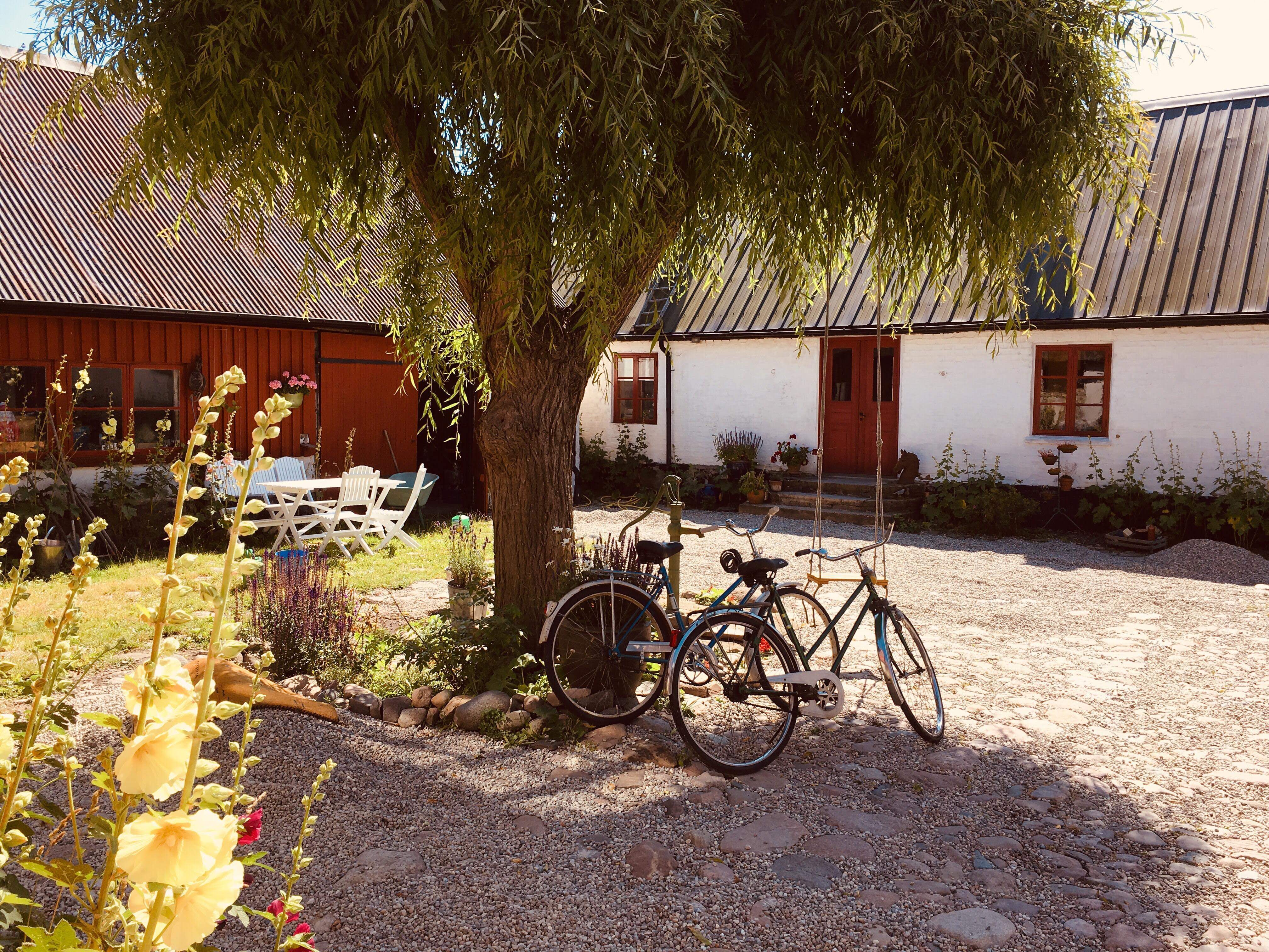 Cozy home in Österlen