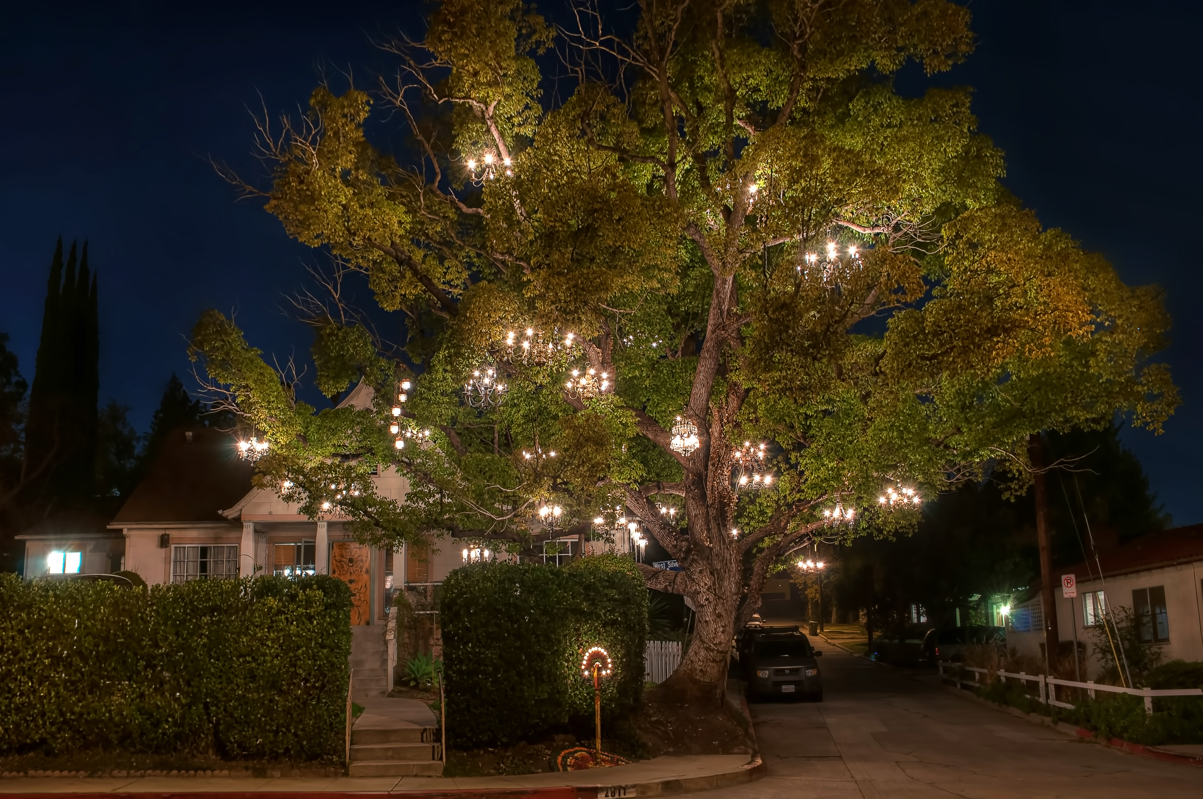 The Chandelier Tree. House.