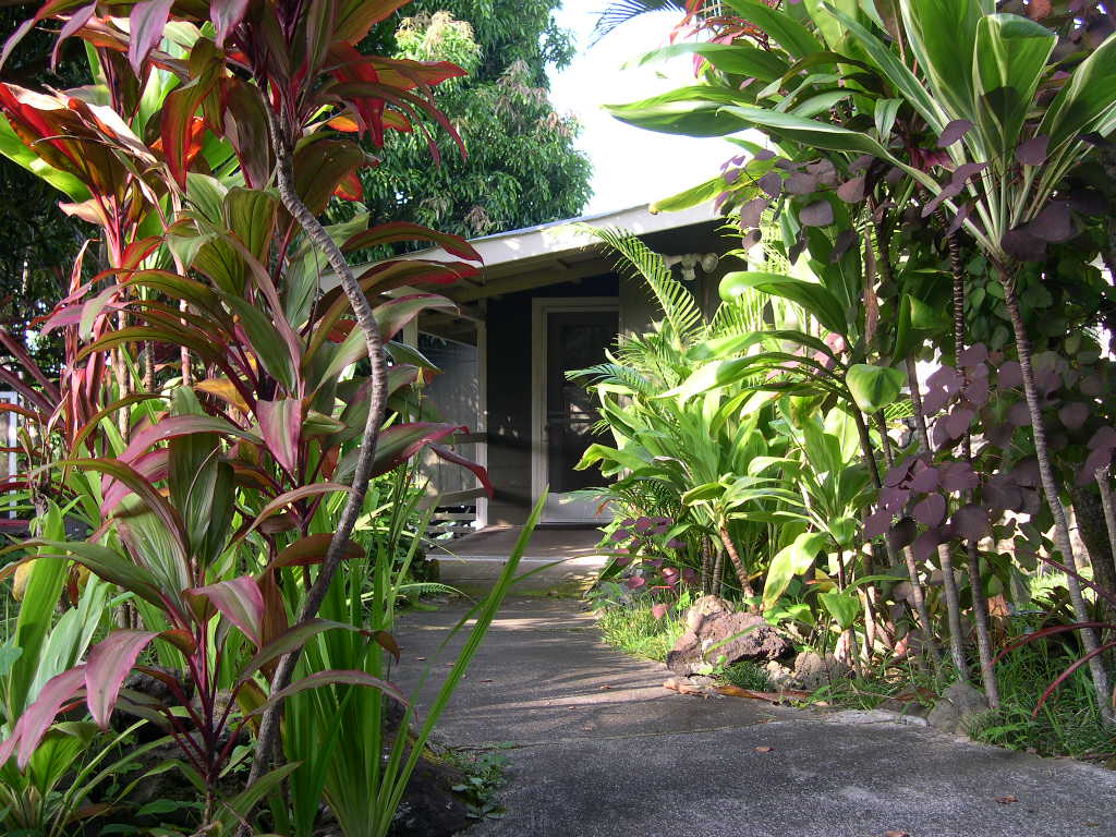 Hale Koa Studio & 1 Bedroom Units!! Apartments for Rent in Captain