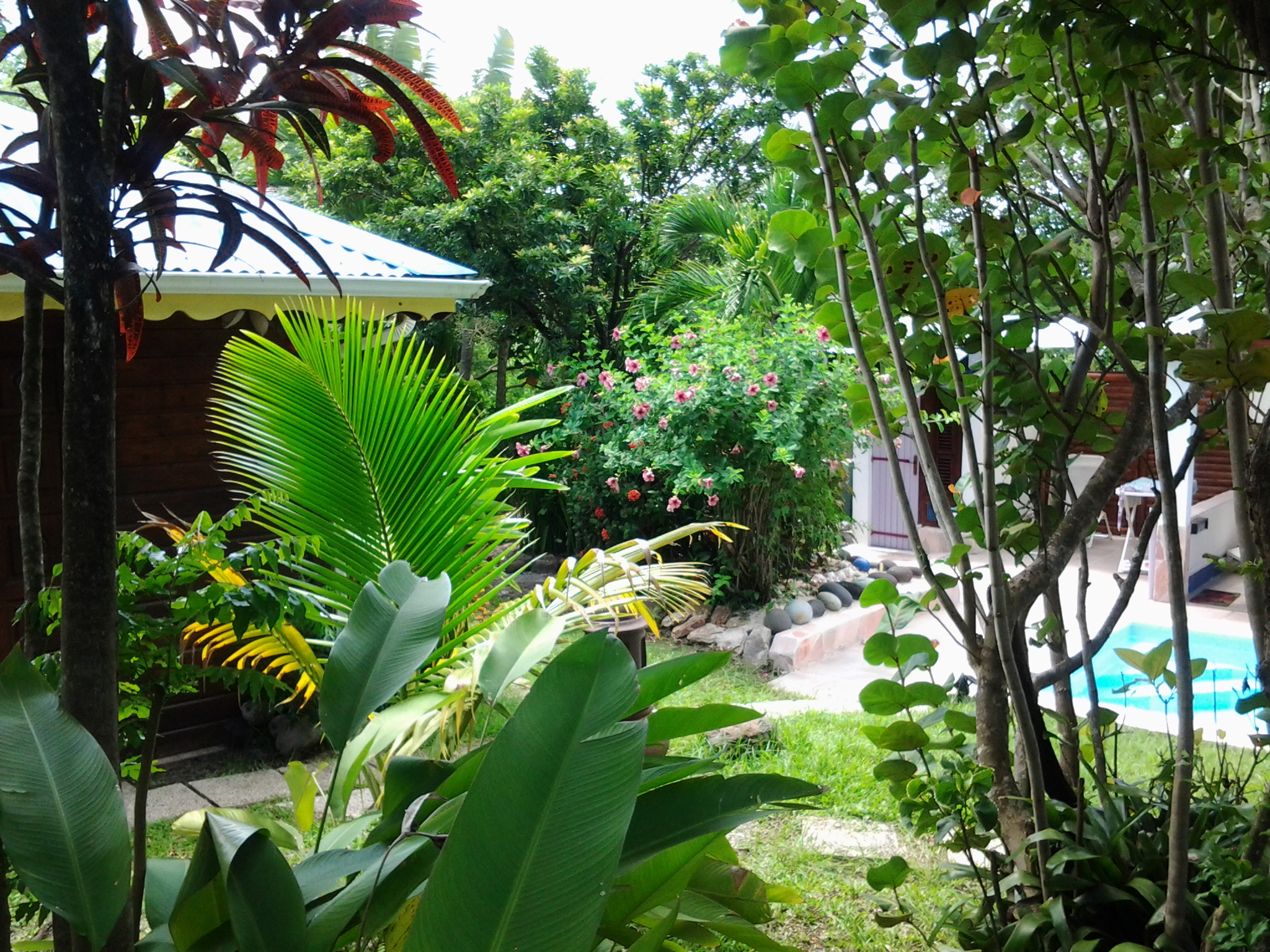 In the heart of a tropical garden