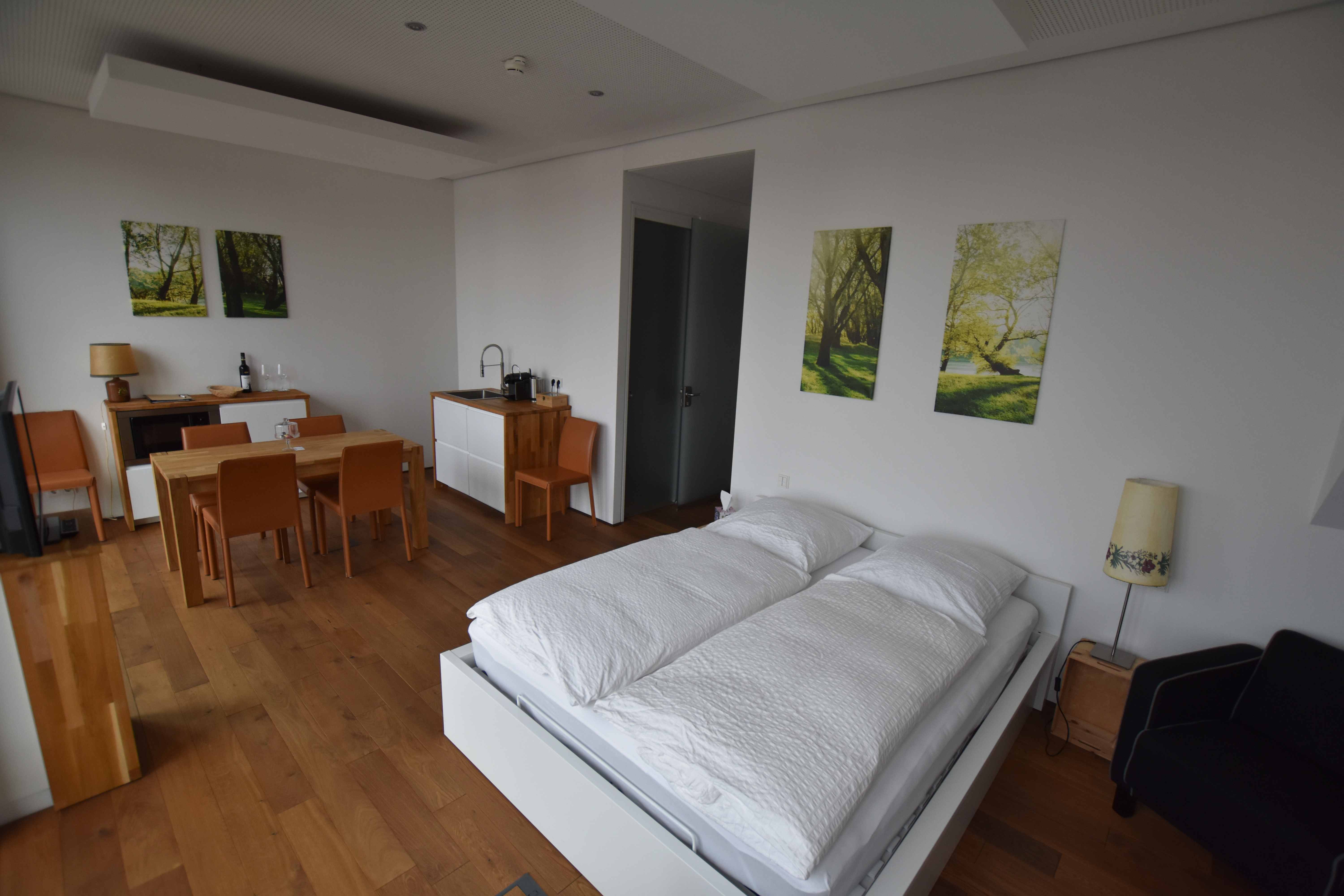 Schickes Apartment mit Münsterblick mitten in Ulm Condos zur Miete in