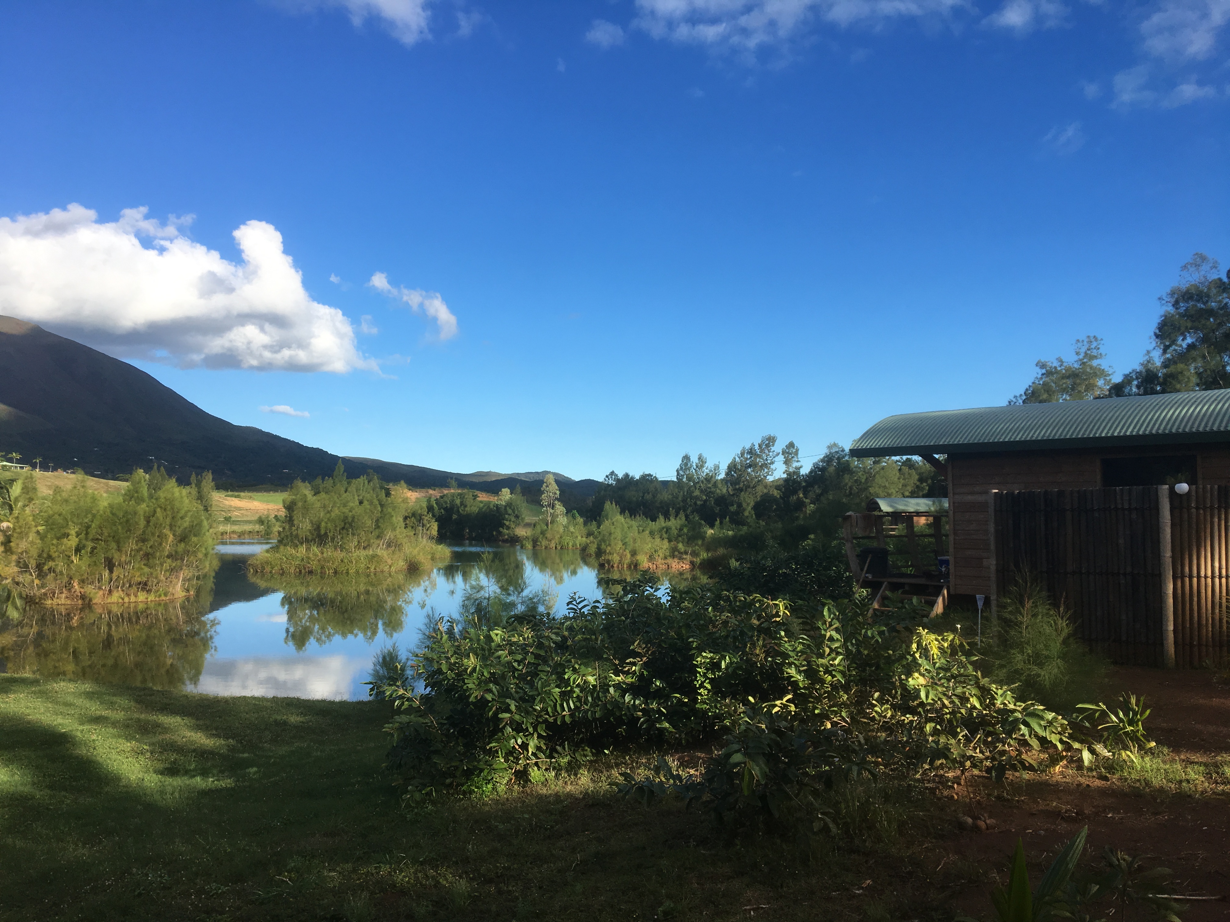 Roulotte Bord D Un Etang 30 Mm Aeroport Noumea Farm Stays For Rent In Couvelee Province Sud New Caledonia