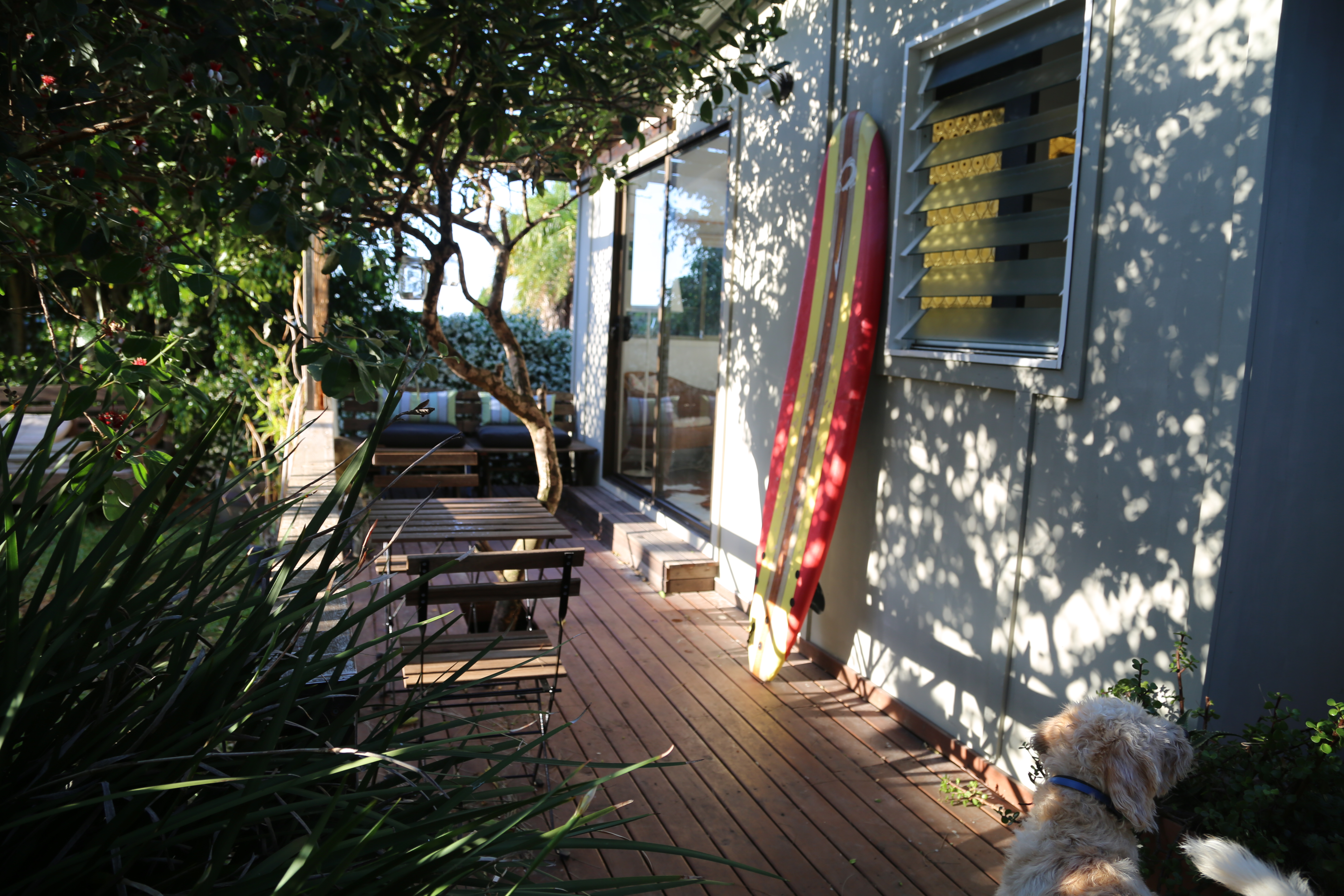 The Curly Surf Shack