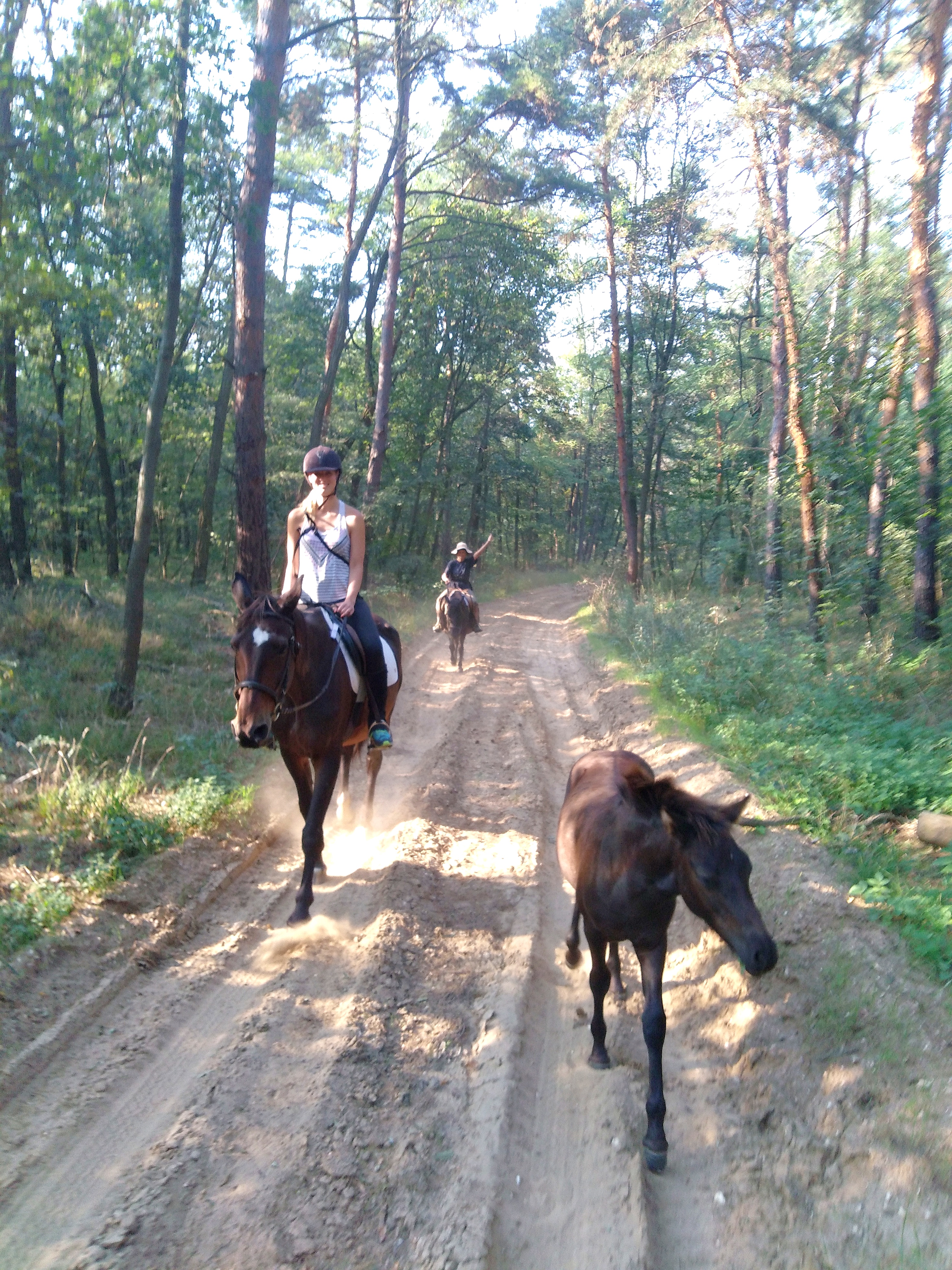 Into The Wild On Horseback For Anyone Airbnb