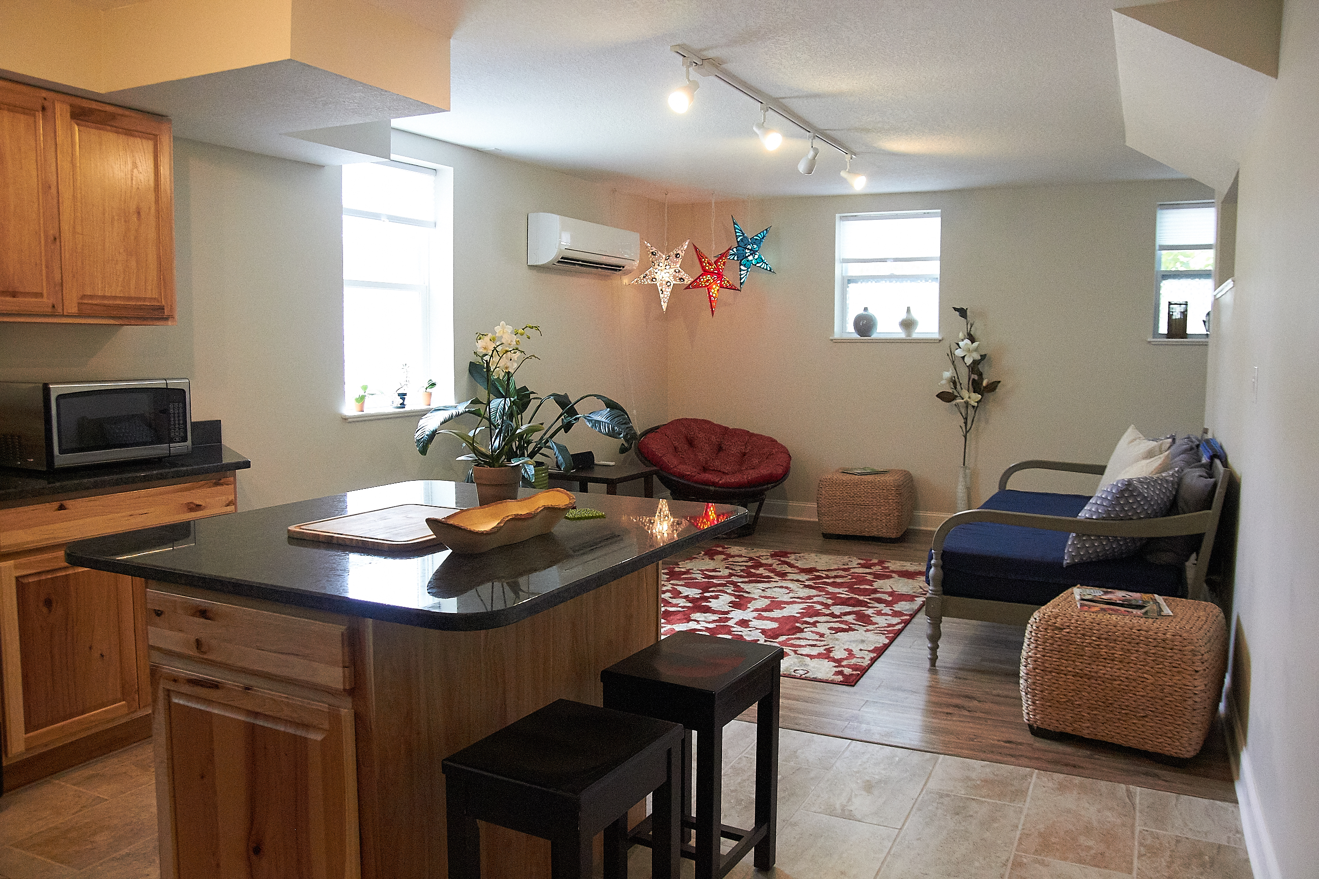 Clean & Spacious Apartment w/Full Kitchen & W/D in 28806, Asheville