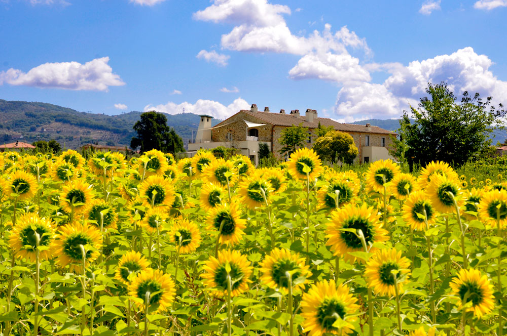 PODERE GALILEA: Melograno your flat in Tuscany