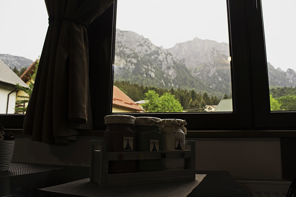 2 Bedrooms Apartment. Amazing Mountain View.