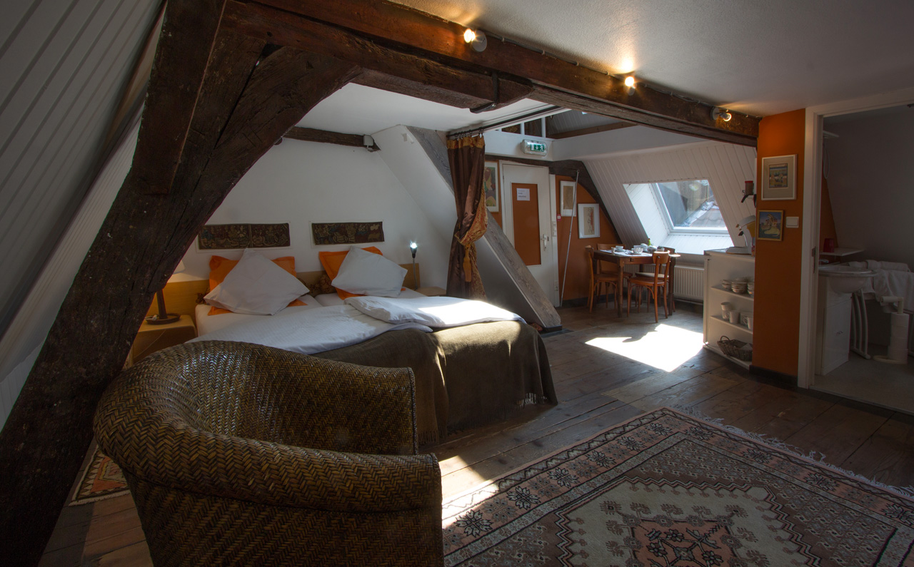 Artist habitat in the center (6pax) in Binnenstad, Ghent