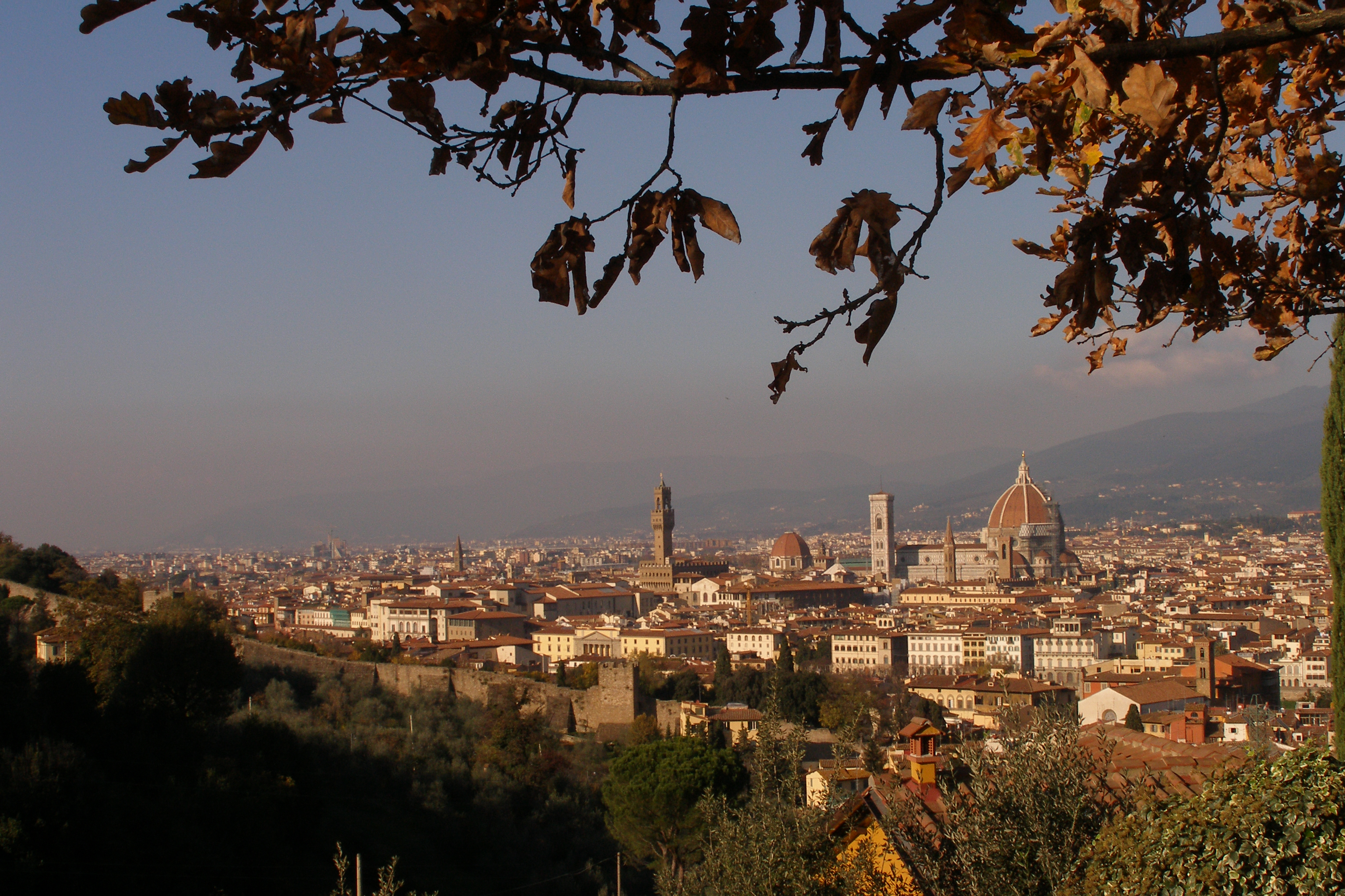 Florence, wonderful apartments !!! in Isolotto Legnaia, Florence