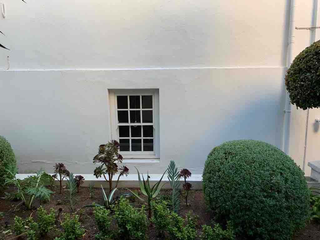 Succulent Cottage