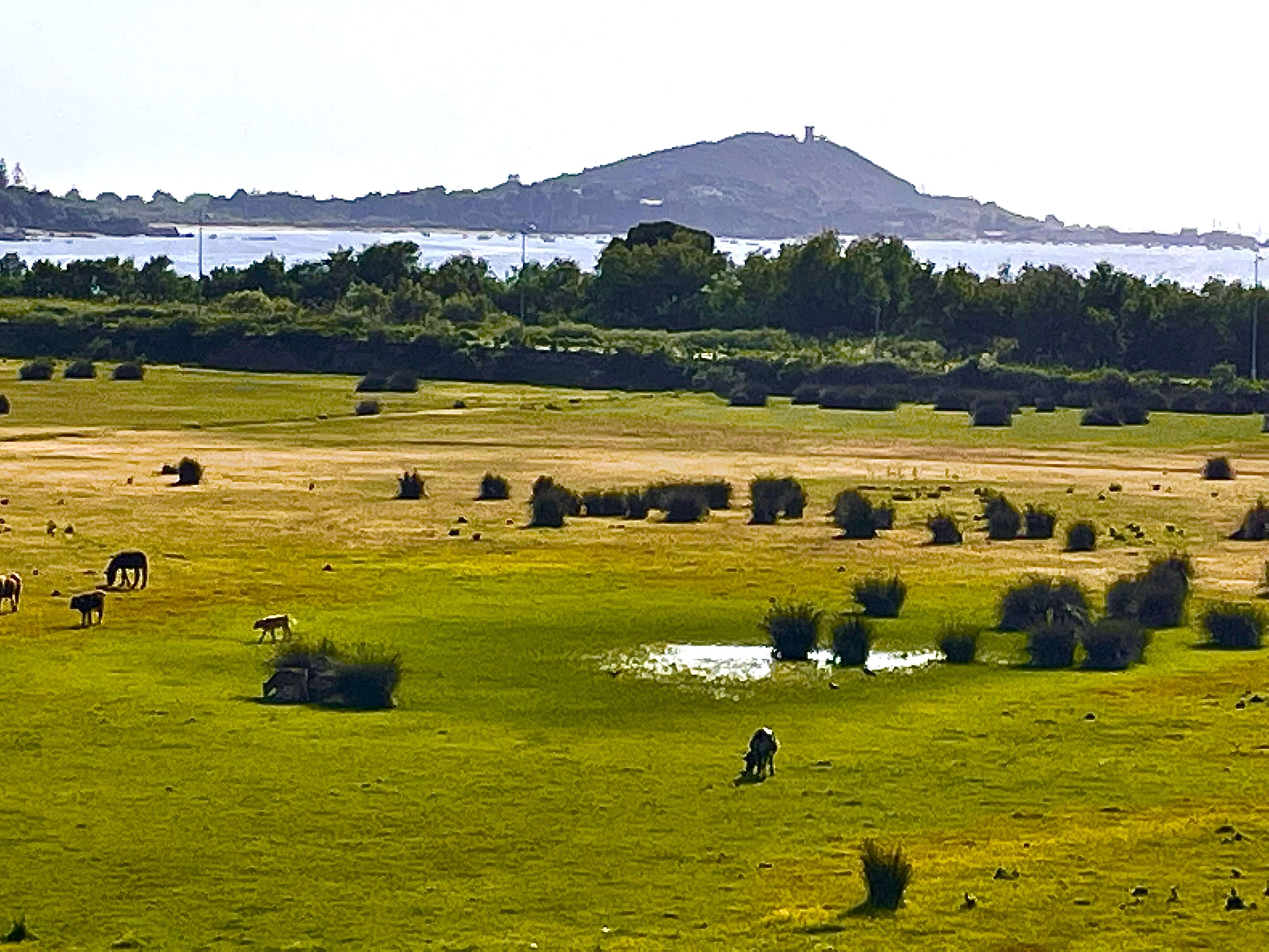 Beach on foot in front of a nature reserve