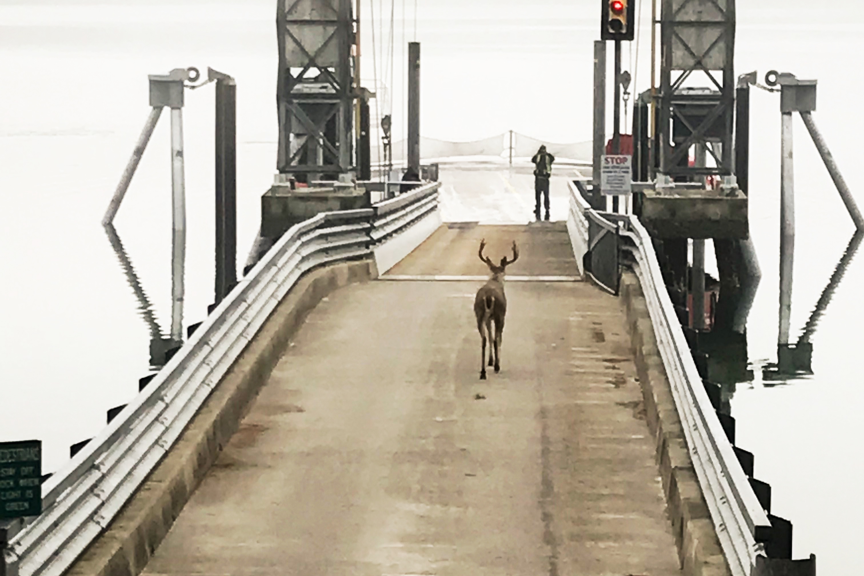 Social Distance at Secret Island Beach Cabin. Cabins for Rent in