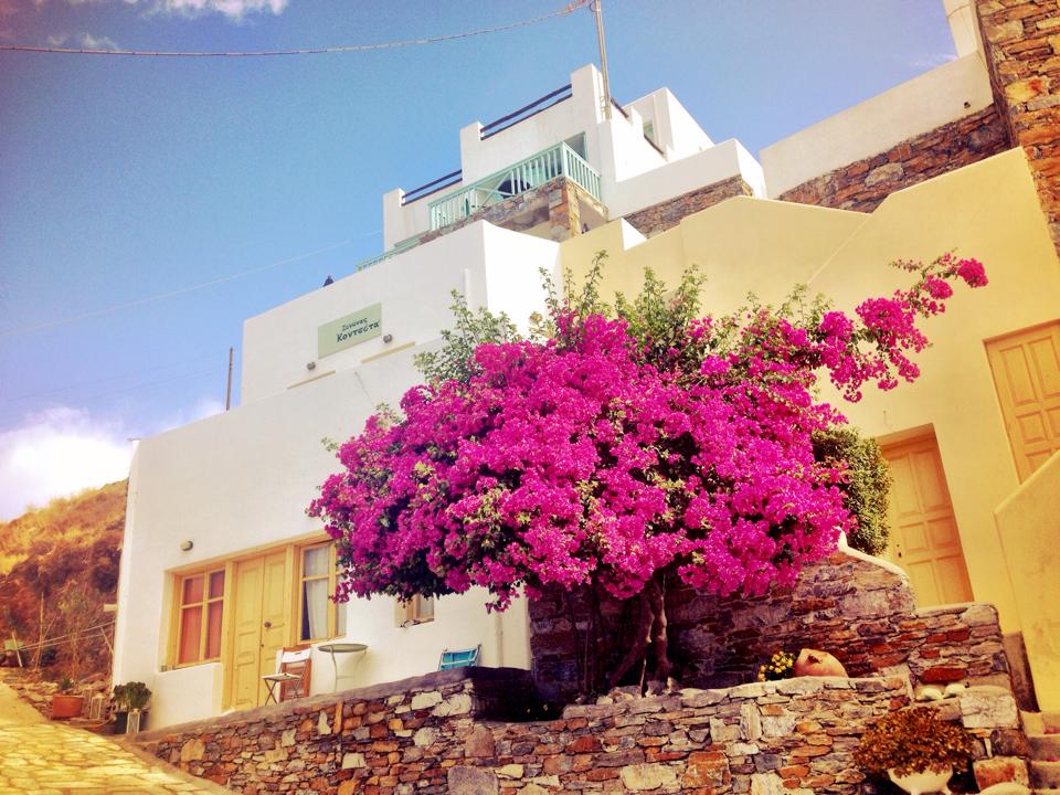 accounteta guesthouse