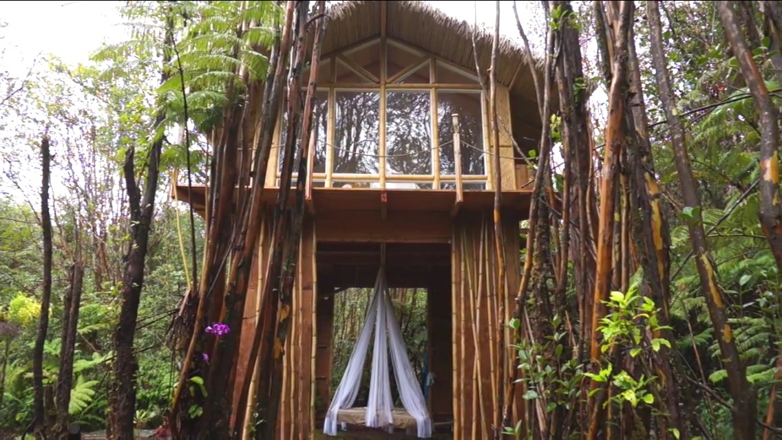 Dreamy Tropical Tree House 🌴 Islands for Rent in Fern Forest, Hawaii