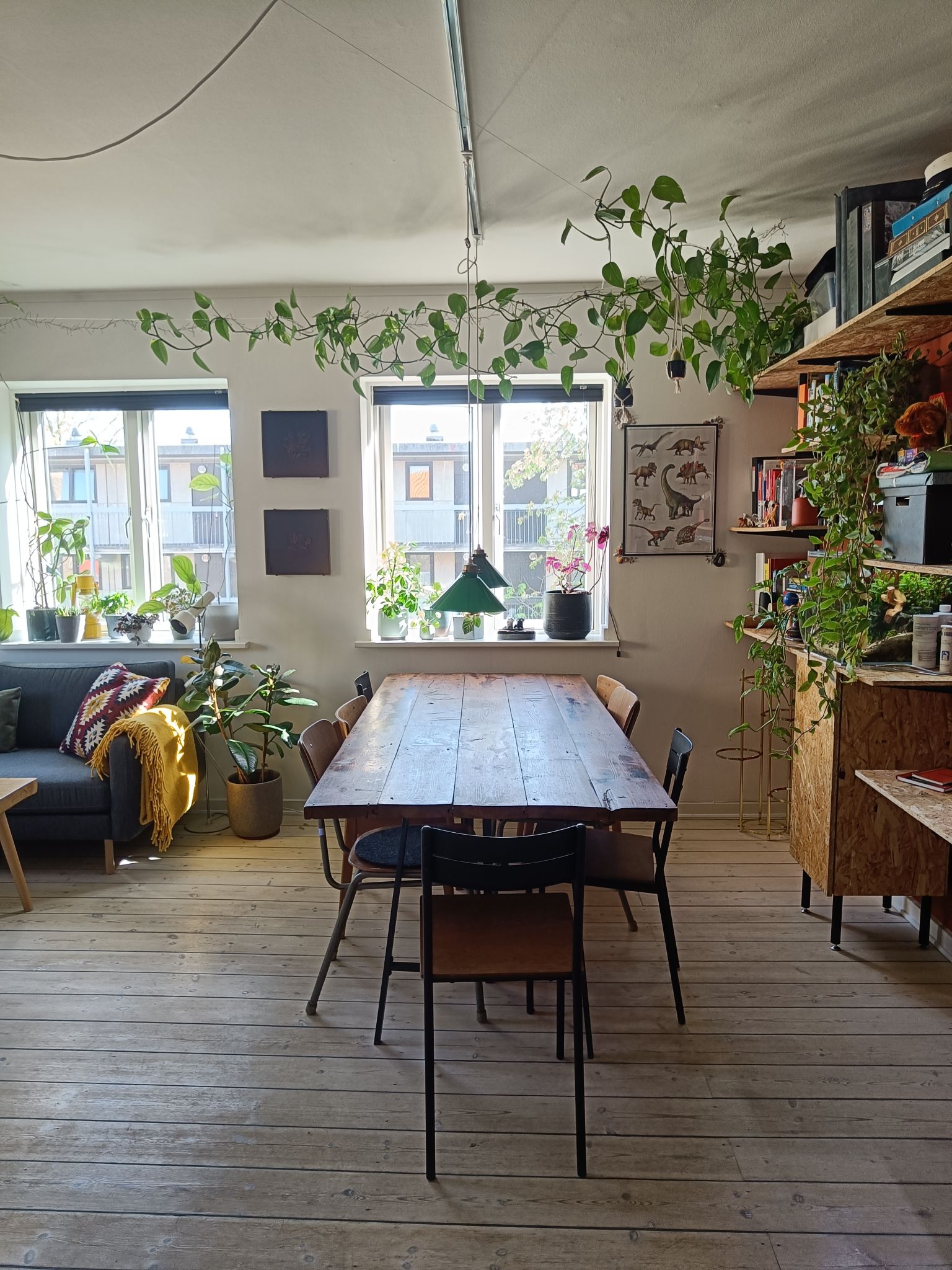Pet-friendly and spacious apartment