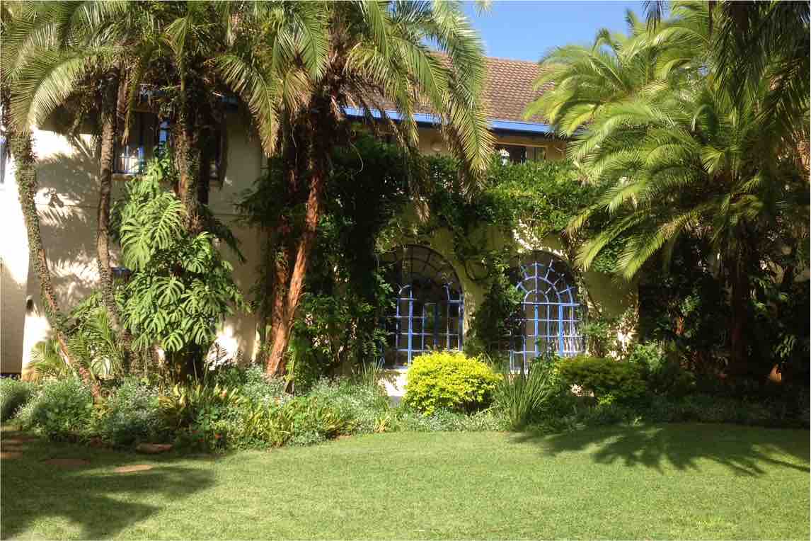 The Palms Apartment with unlimited strong wi-fi