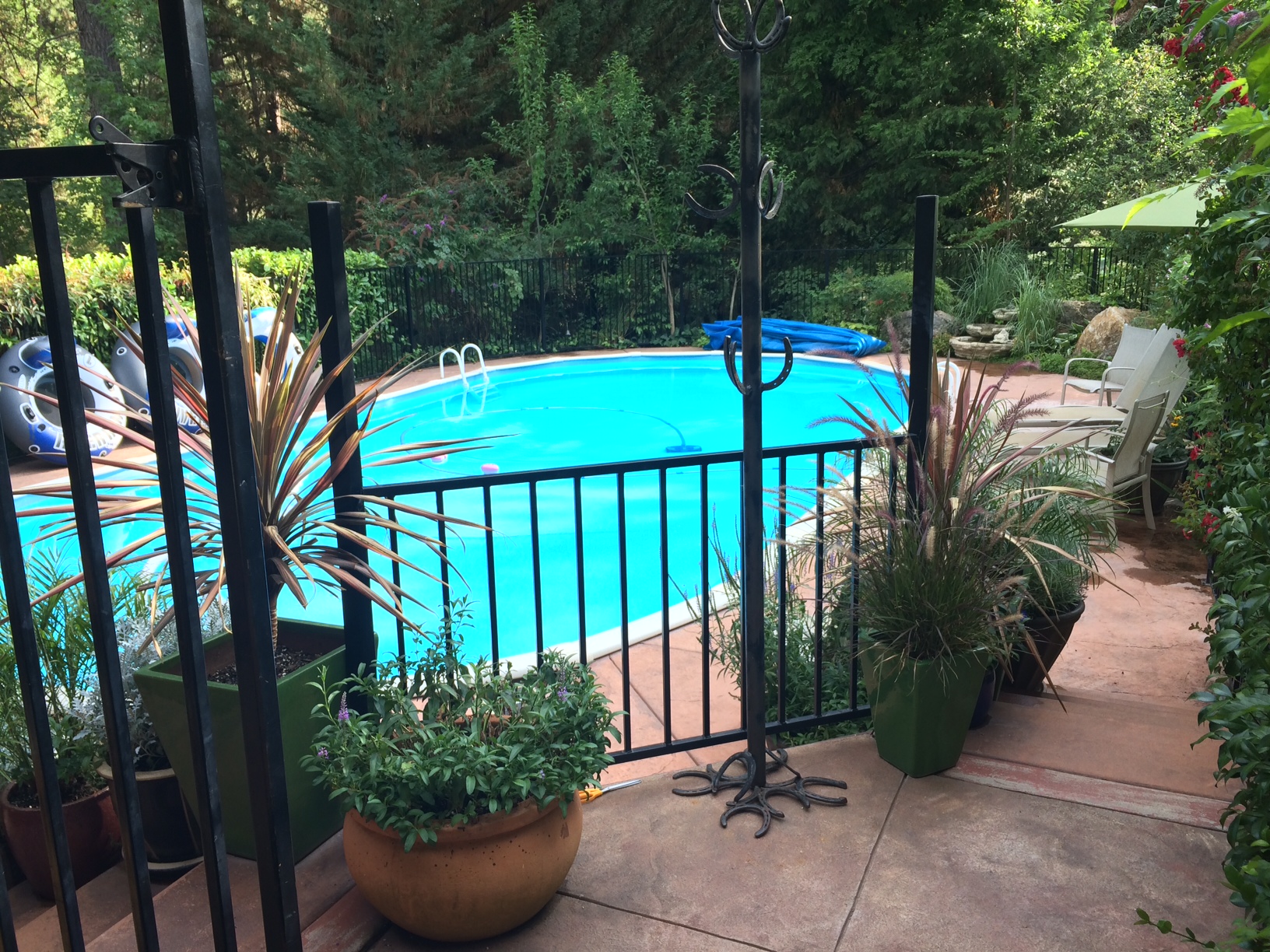 A Lovely, Expansive Nevada City Home to gather... Houses for Rent in