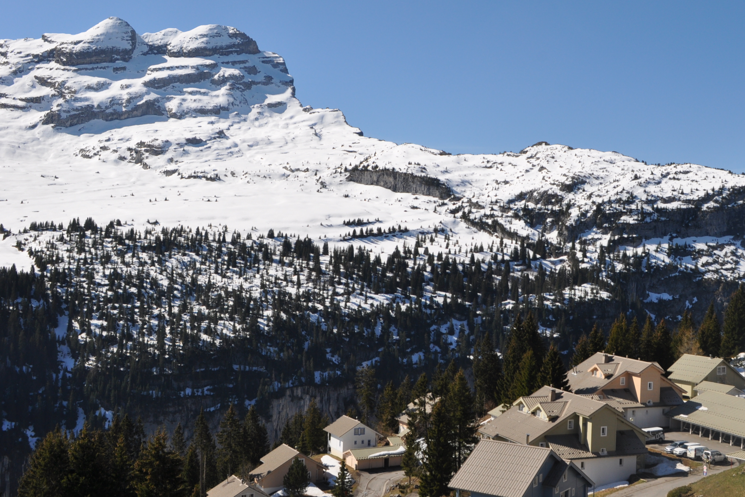 Cozy chalet, direct ski access and stunning views