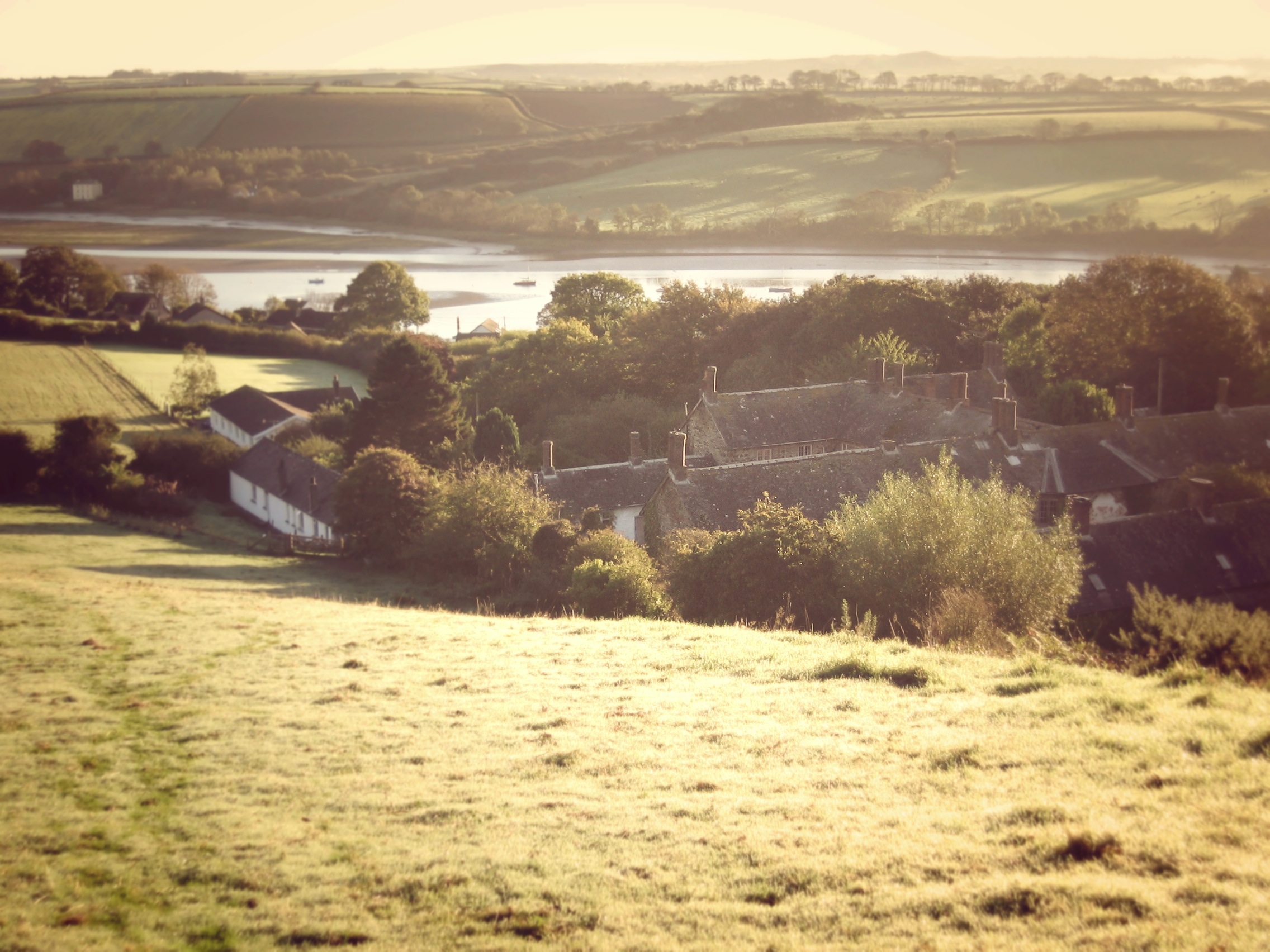 Cosy cottage on Pembrokeshire coast AlbroCastle Cottages for Rent in Cardigan, Wales, United