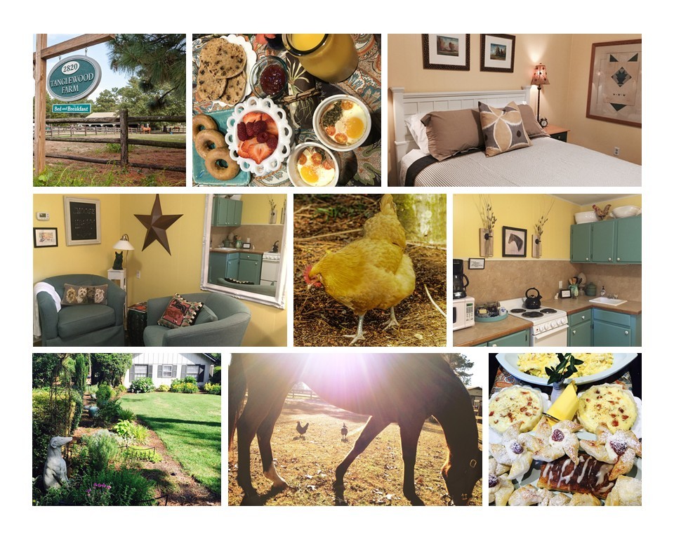 Tanglewood Farm B&B/Horse Farm The Tally Ho Suite Farm stays for