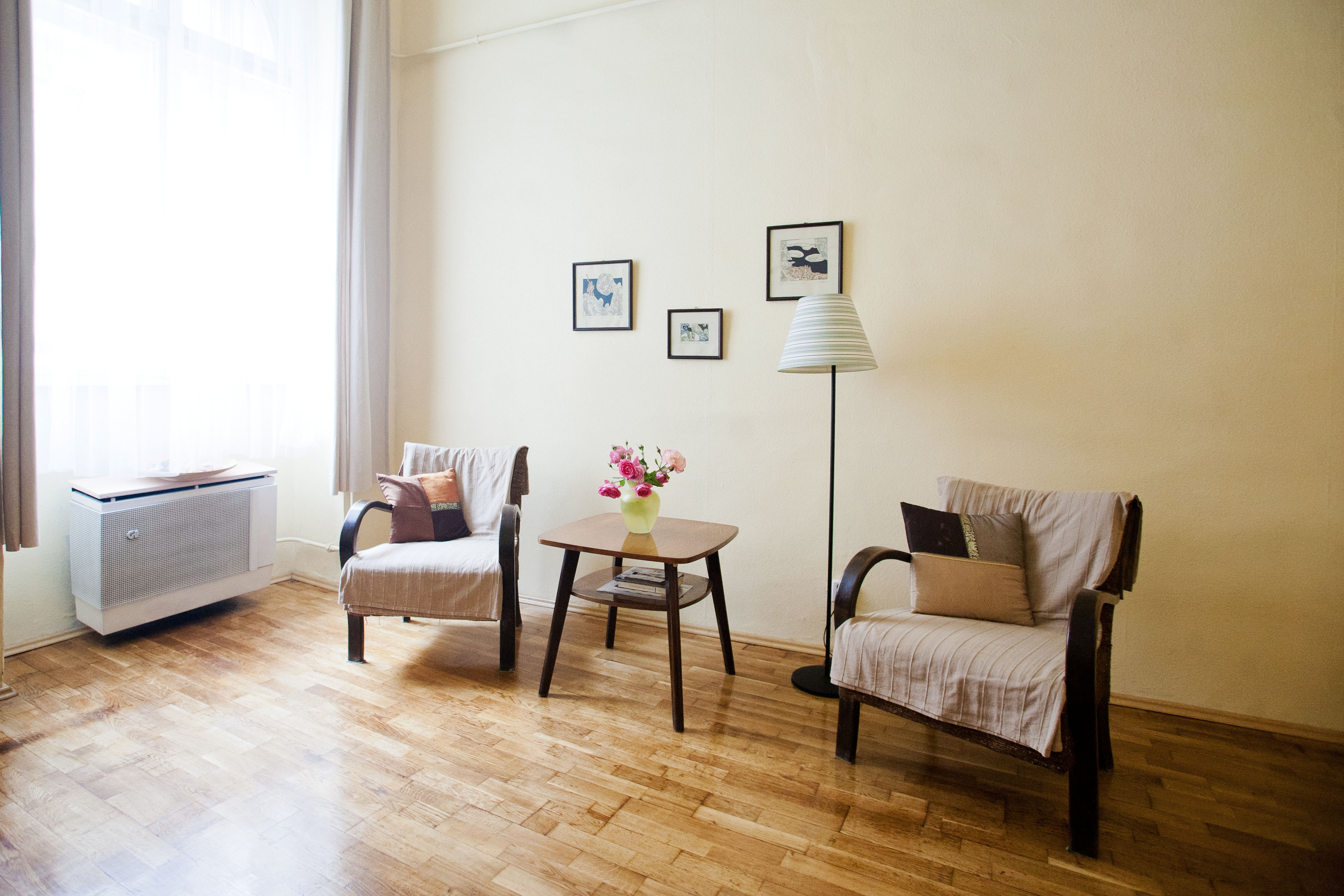 Budget apartment in the downtown!