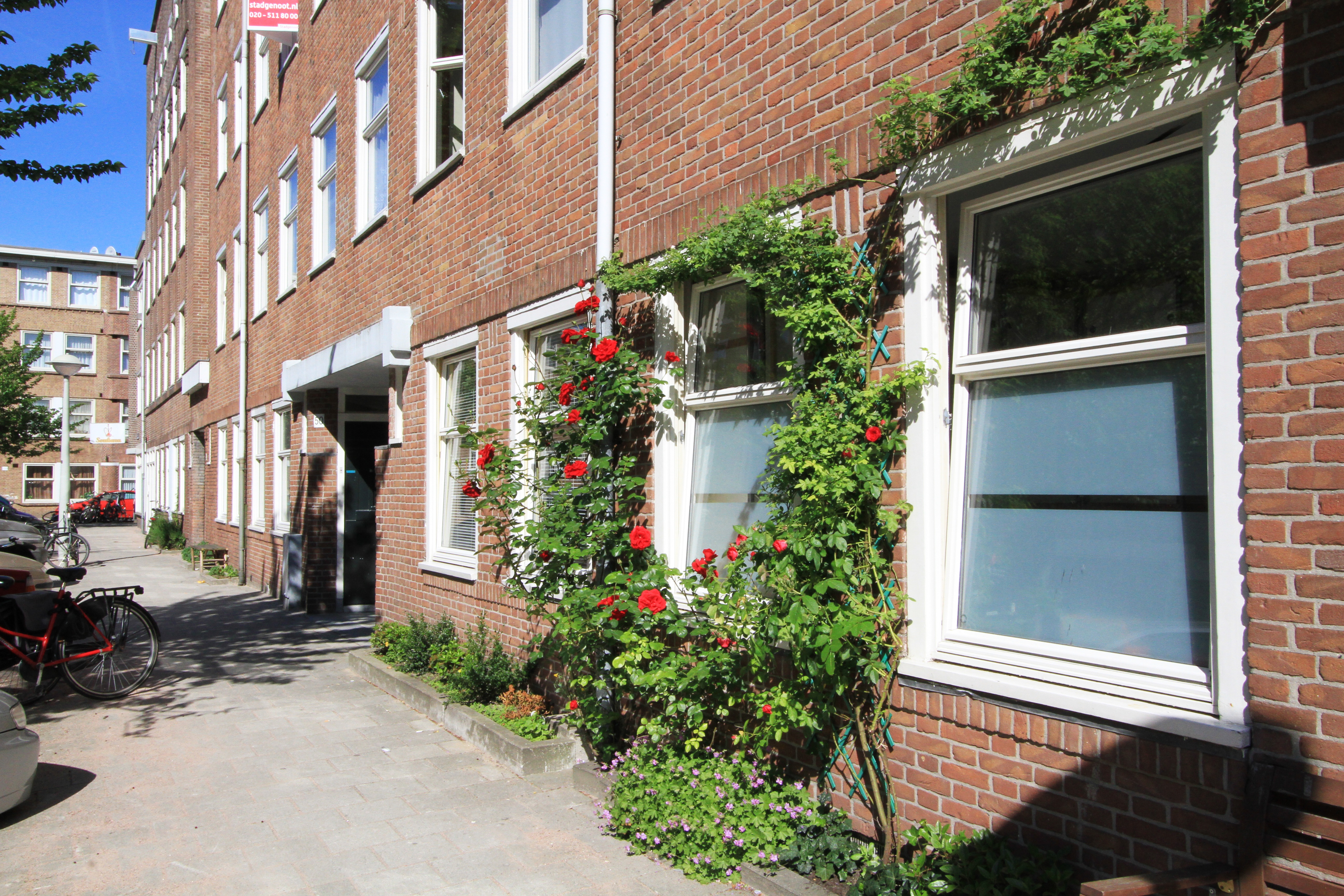 Clean & Cozy room in The Baarsjes — Amsterdam stay