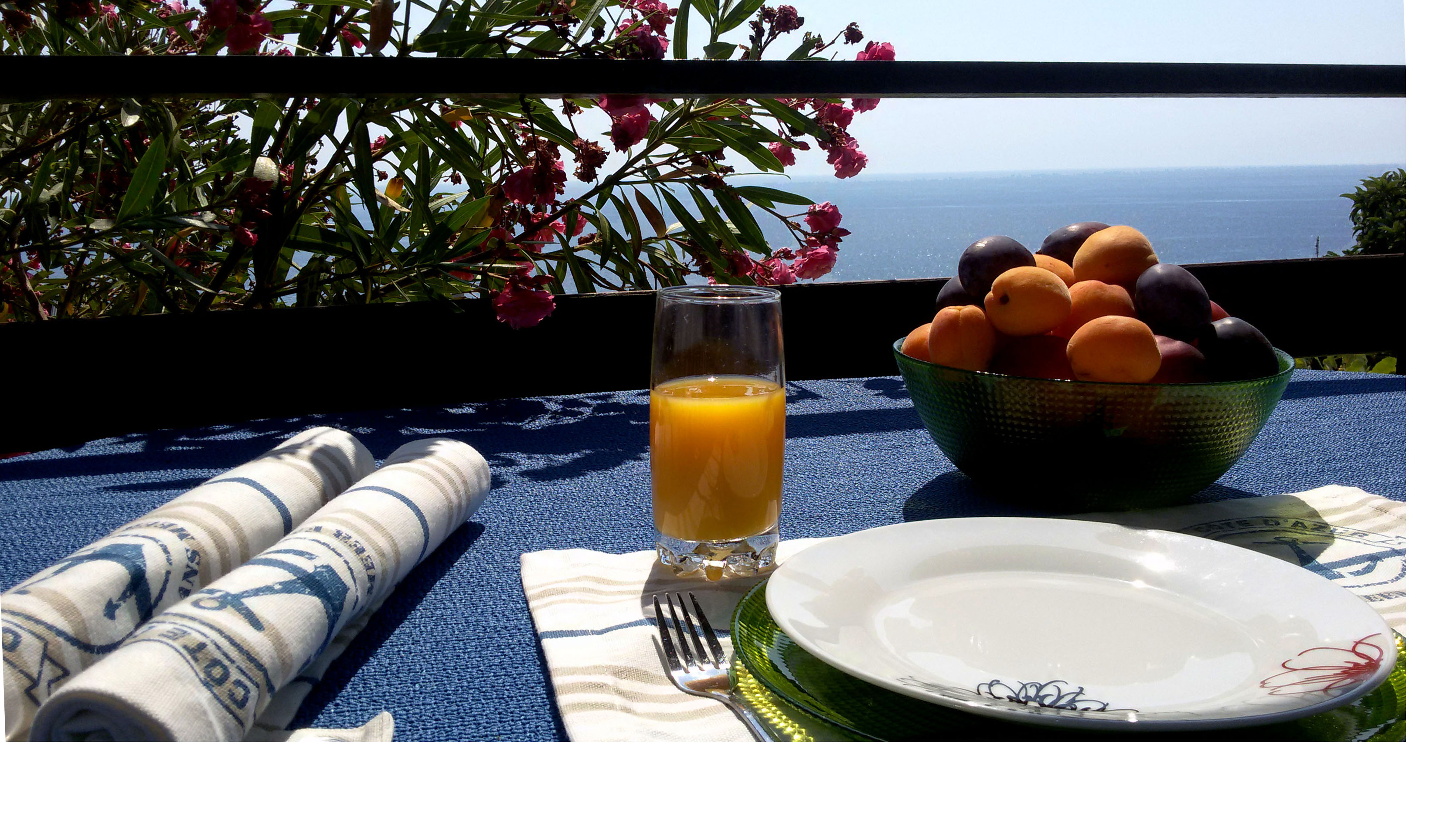 Sea view house