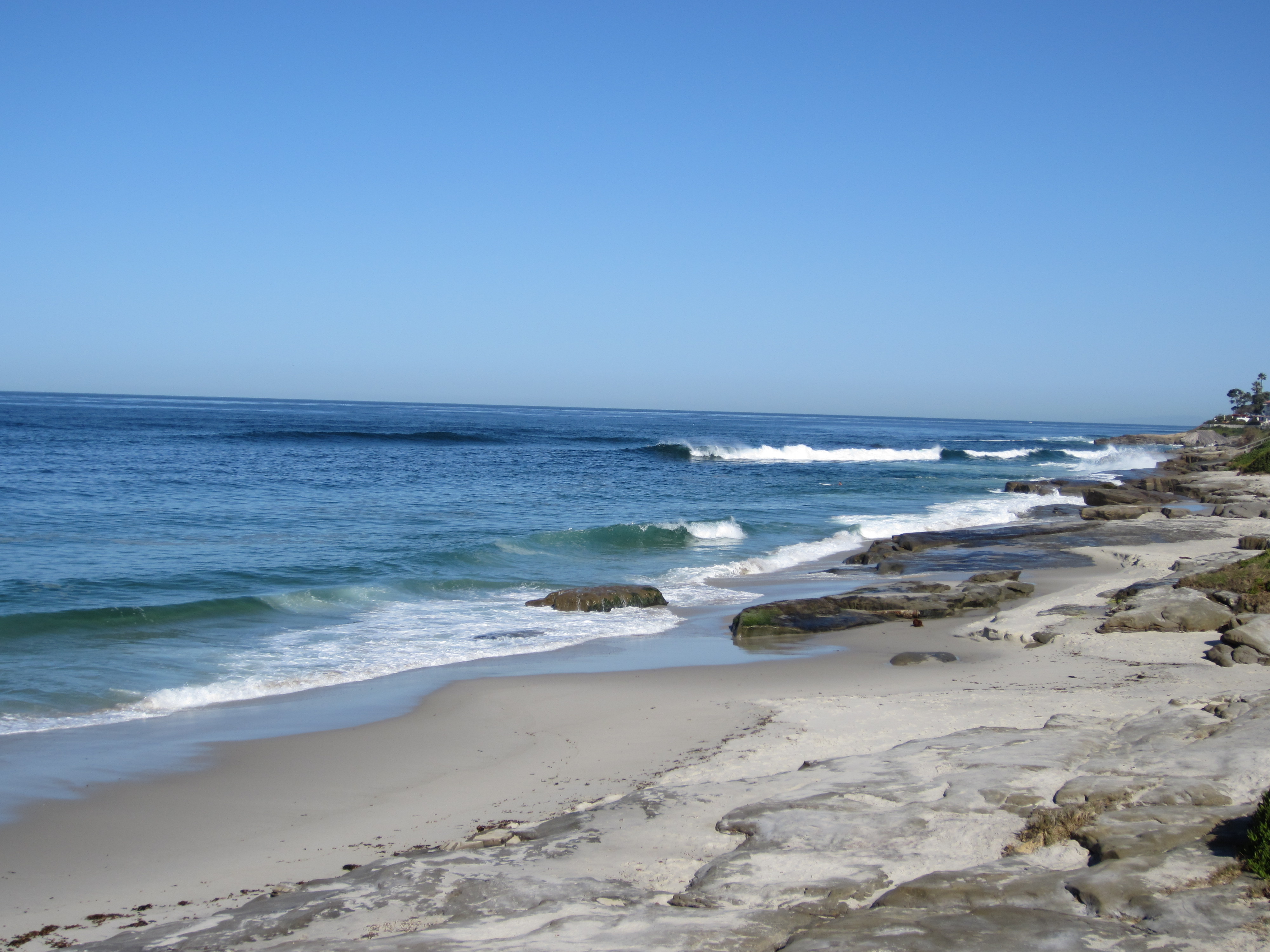 Windansea 1 Check Calendar For Special Guesthouses For Rent In San Diego California United States Windansea 1 Check Calendar For Special Guesthouses For Rent In San Diego California United States