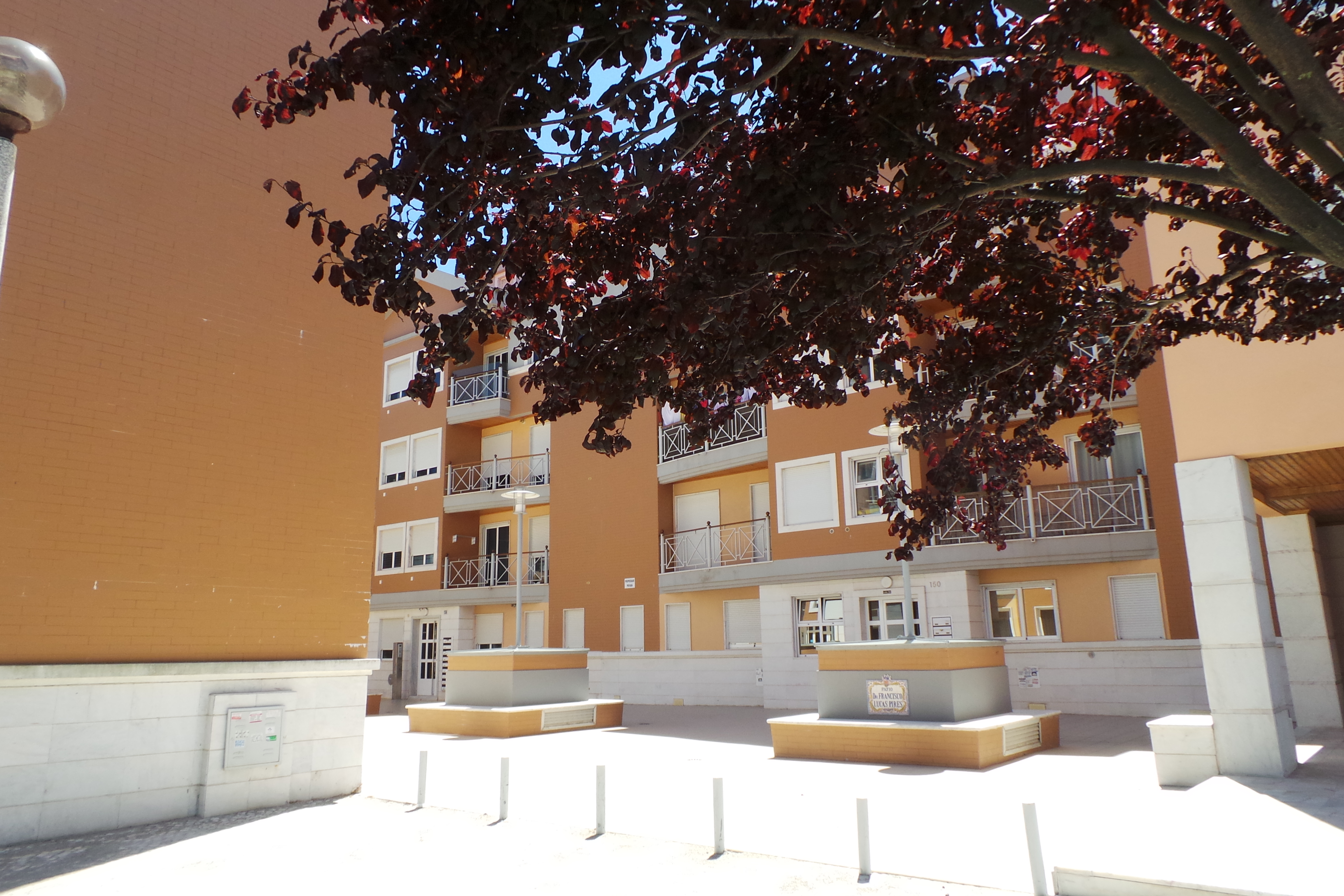 Carcavelos, beach, train to Lisbon and NovaSBE.