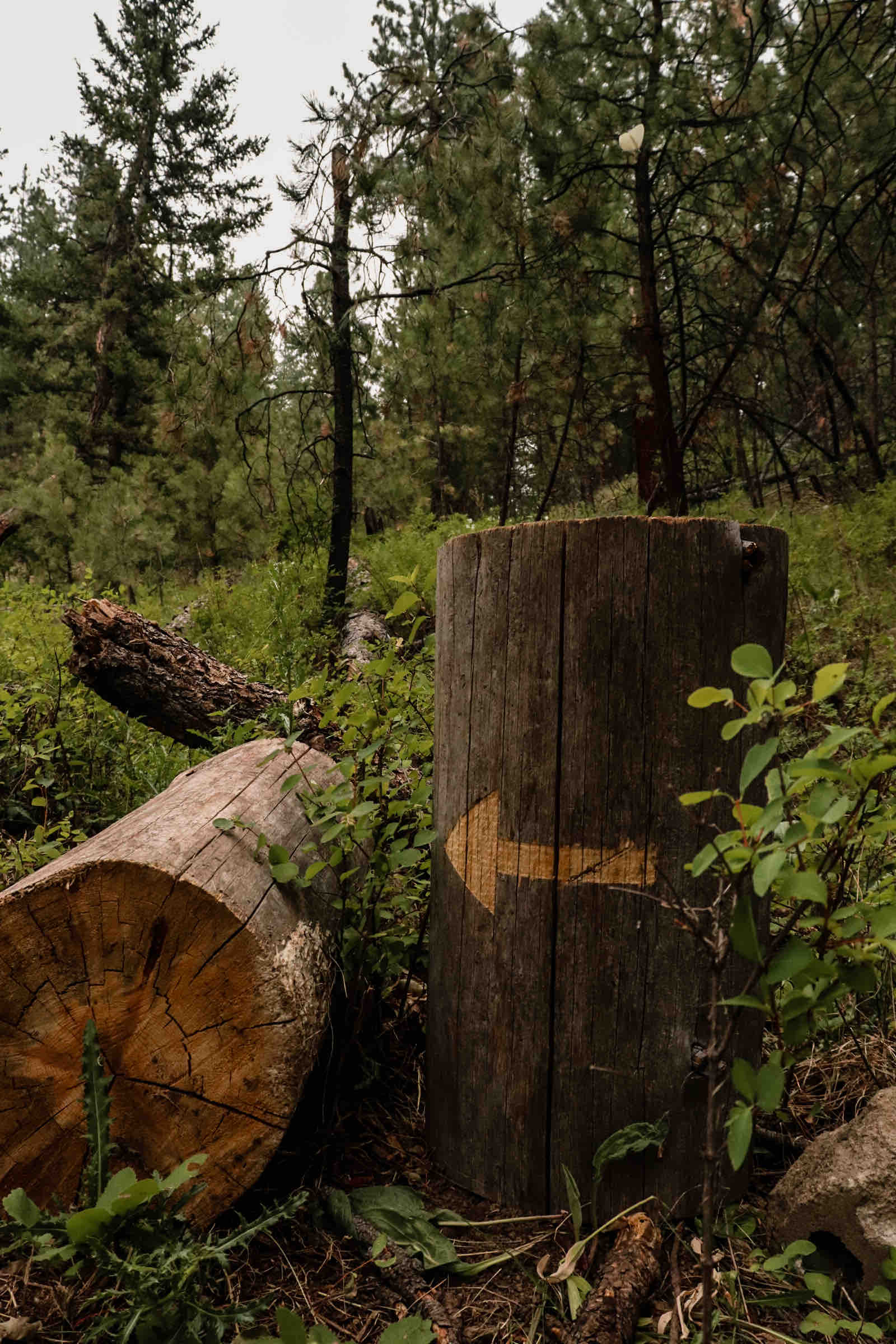 The Hideaway at Creekside Meadows Earth houses for Rent in Clancy