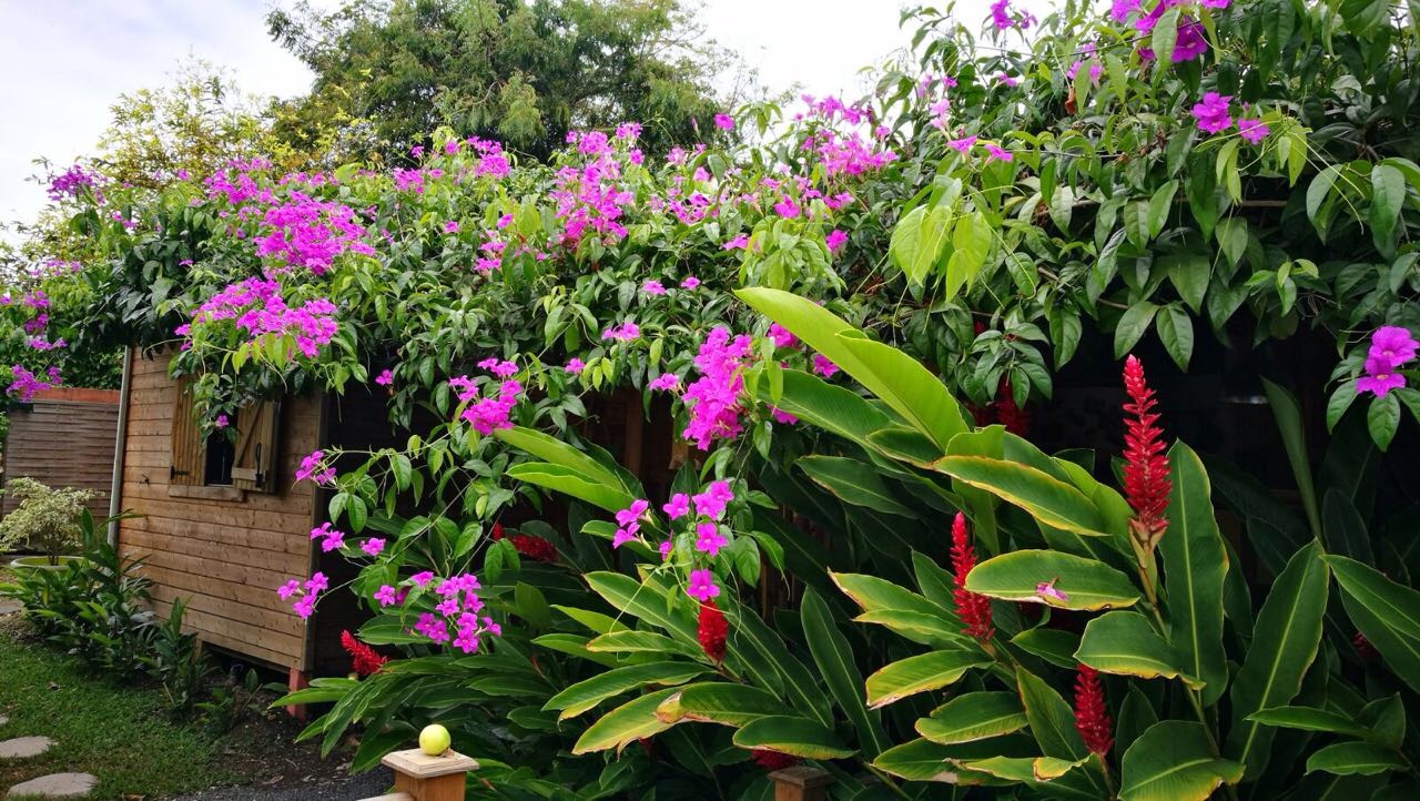 Charming bungalow near the beaches