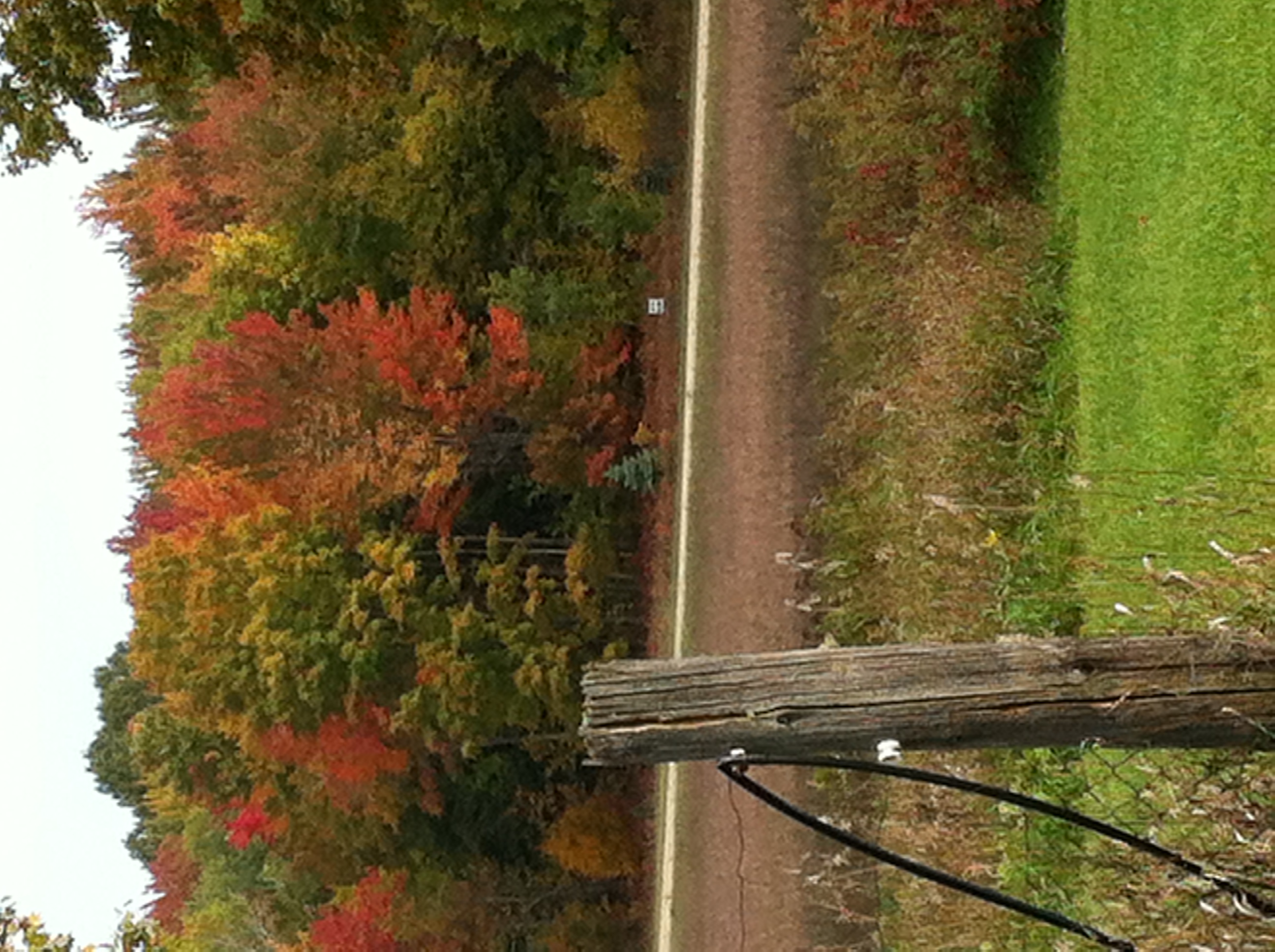 Historic oneroom log cabin Cabins for Rent in Mancelona, Michigan