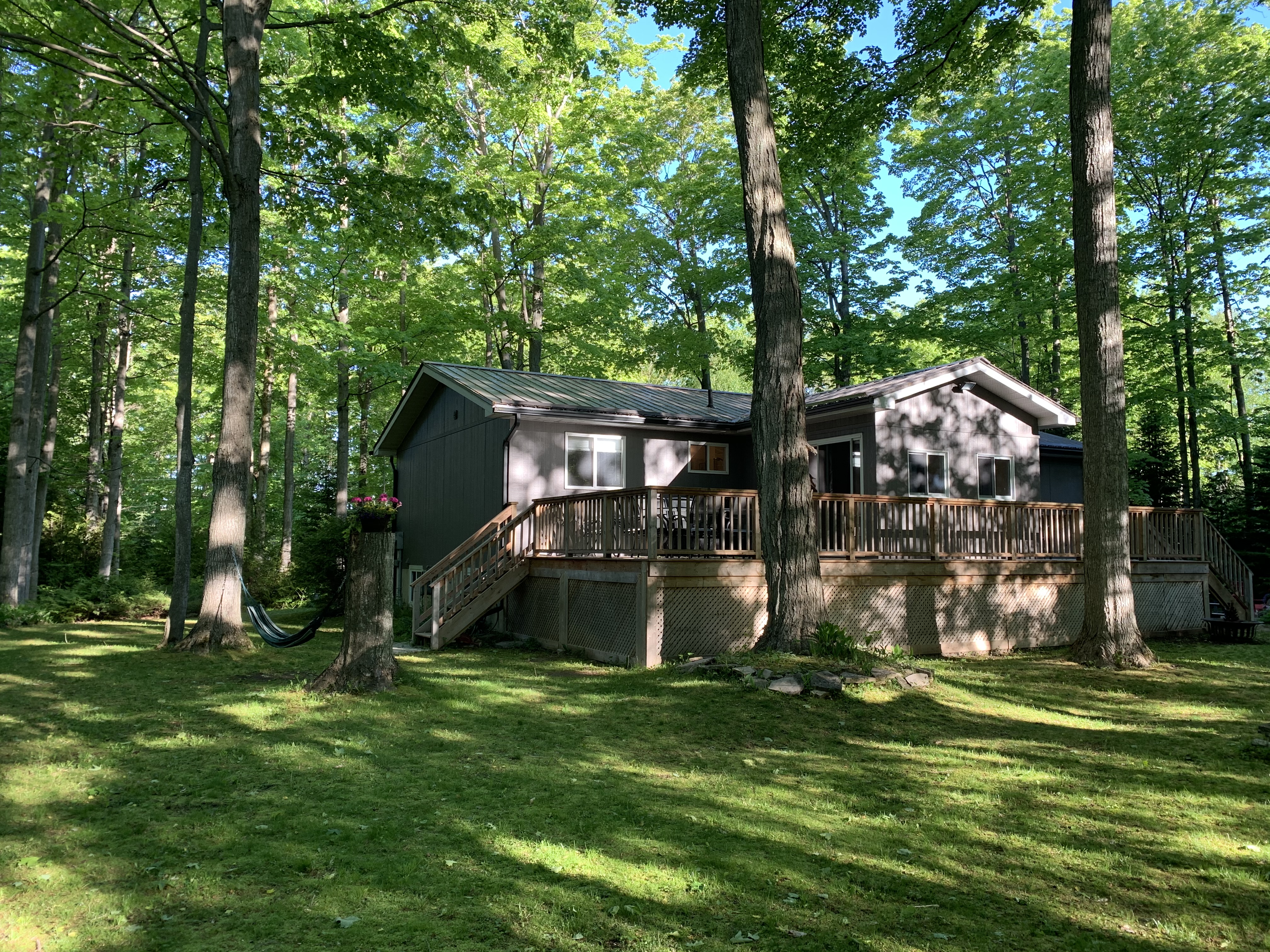 Tree Haven Cottage