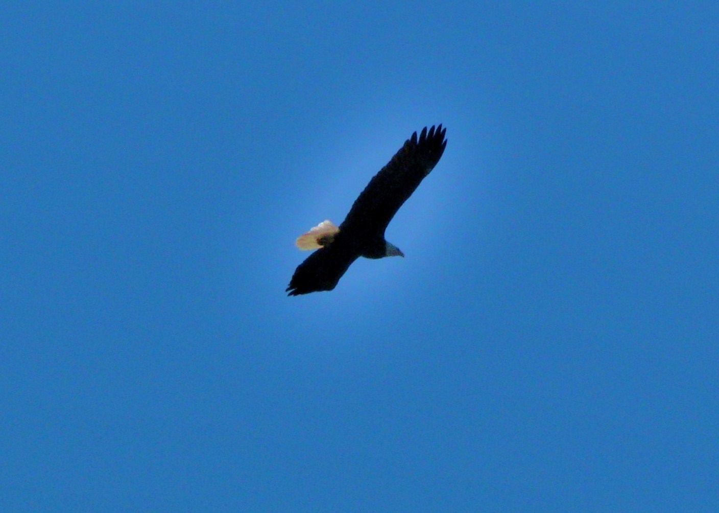 Welcome to Eagles Rest Lakeside Lodge